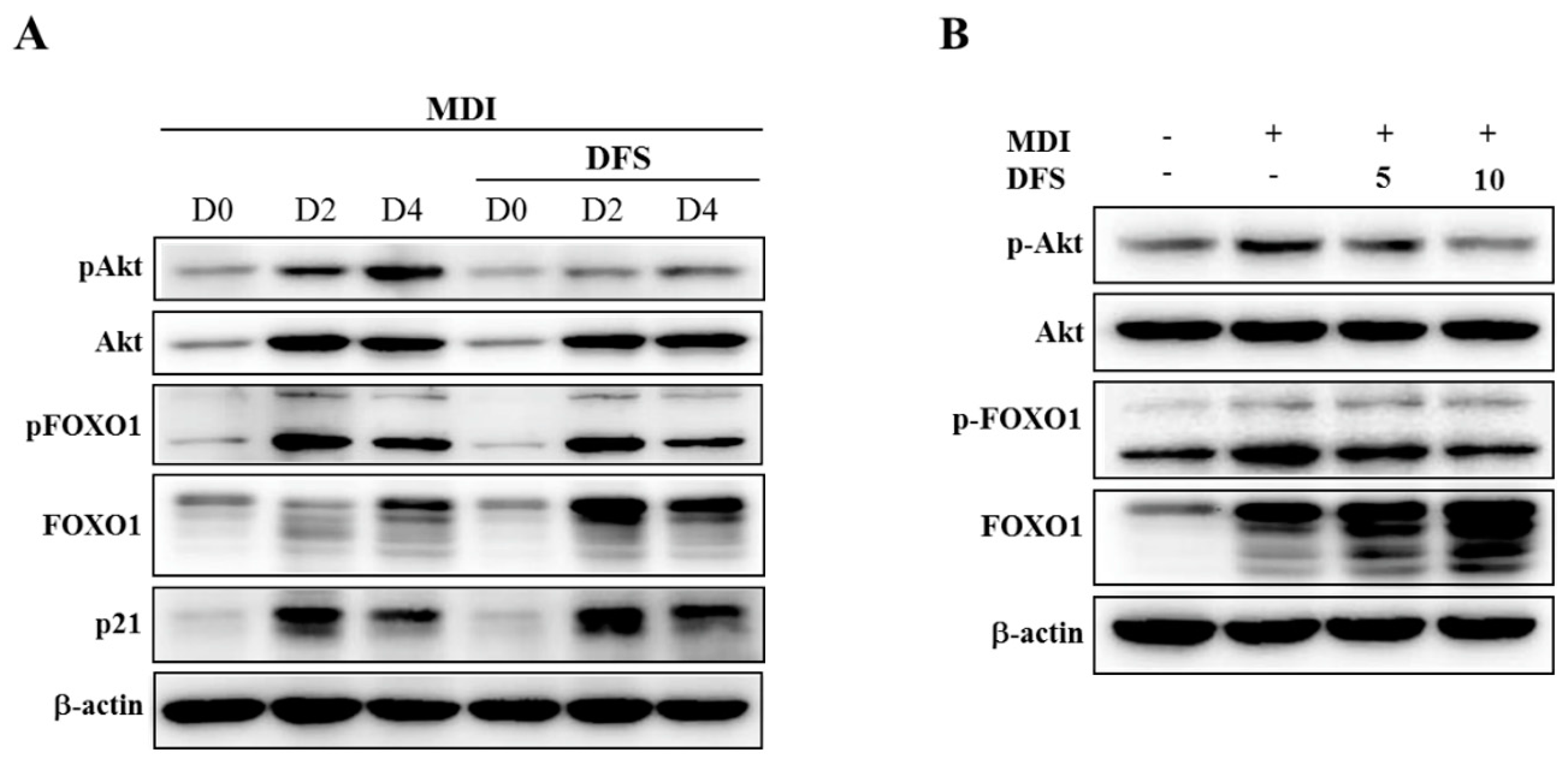 Molecules 25 03346 g004