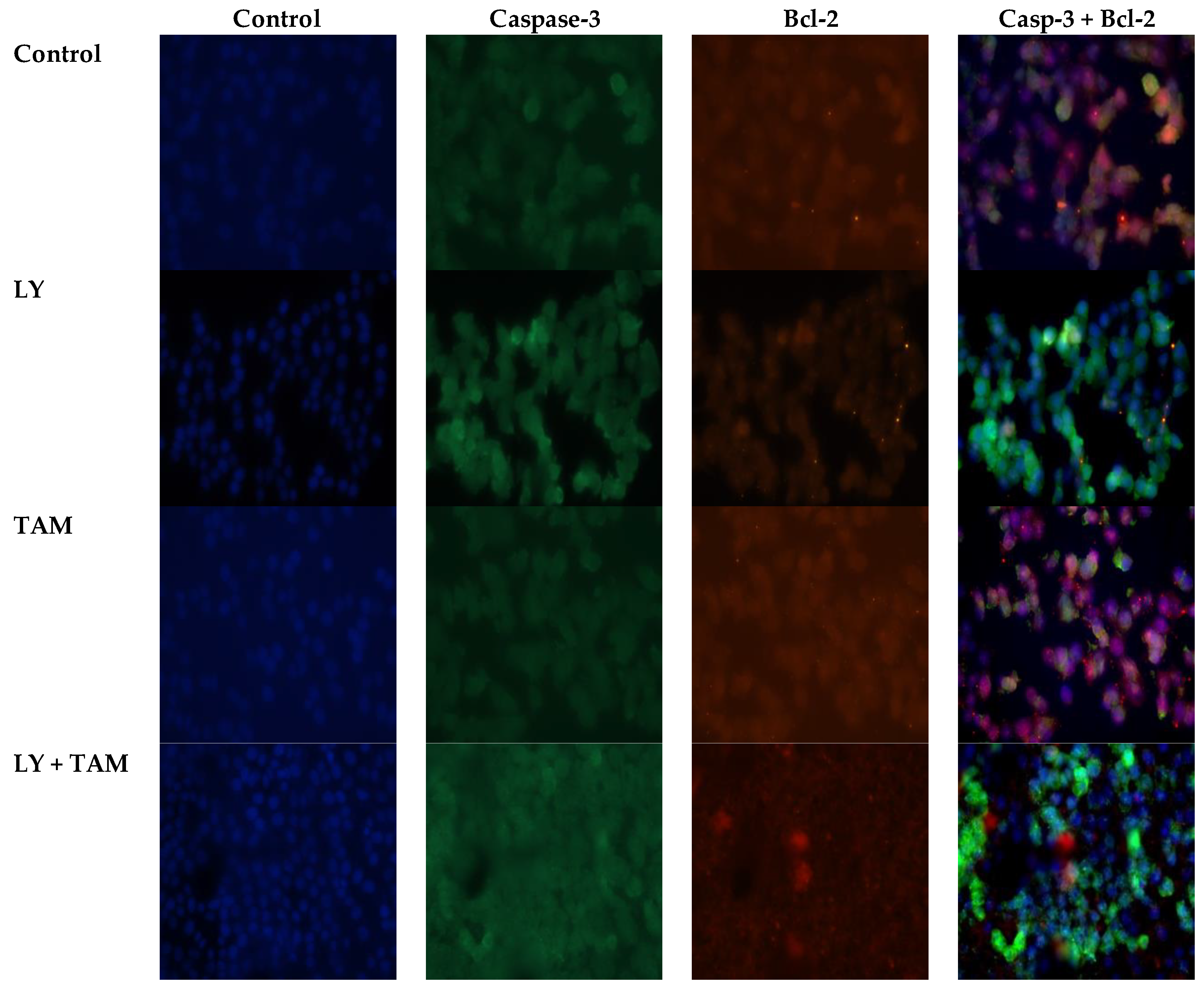 Molecules 25 03355 g004