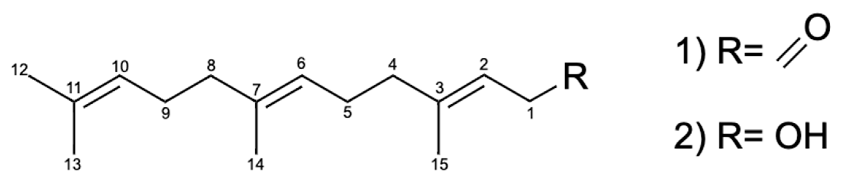 Molecules 25 03361 g005