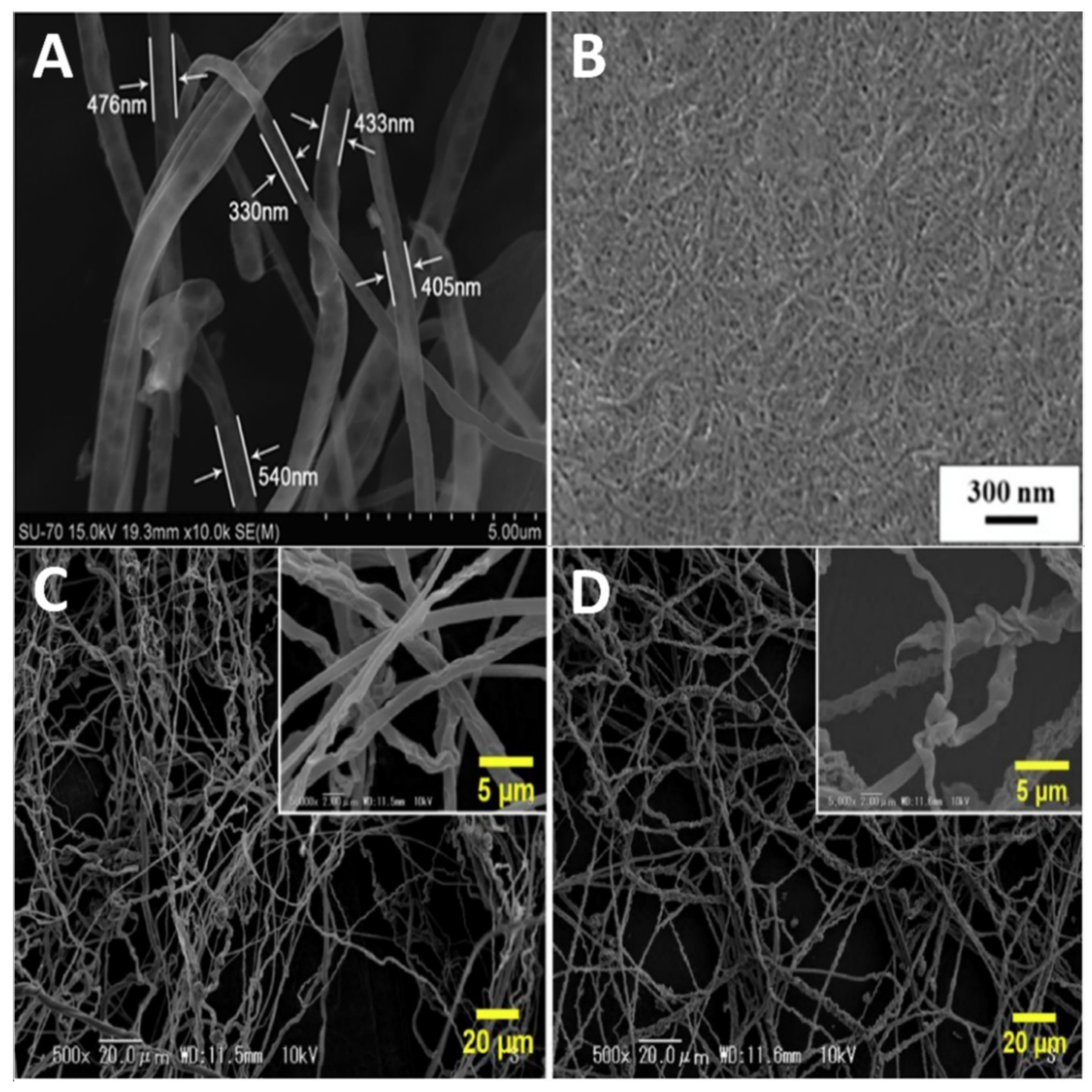 Molecules 25 03362 g004