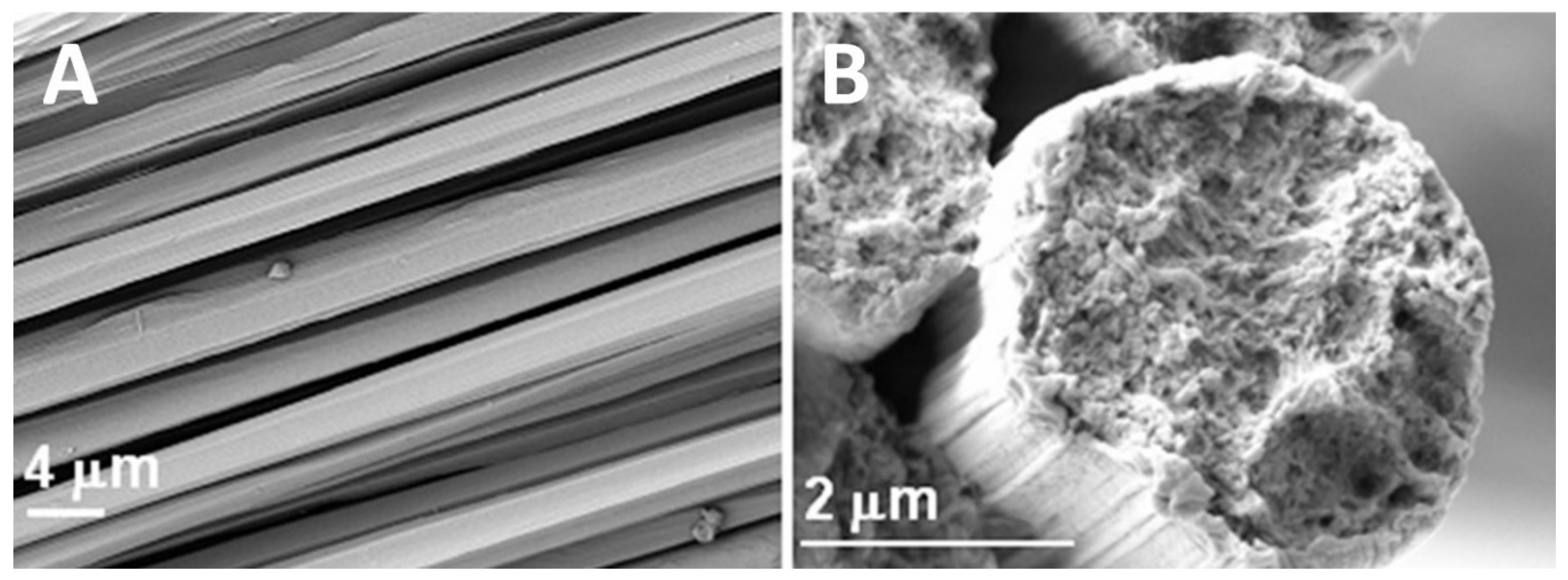 Molecules 25 03362 g005