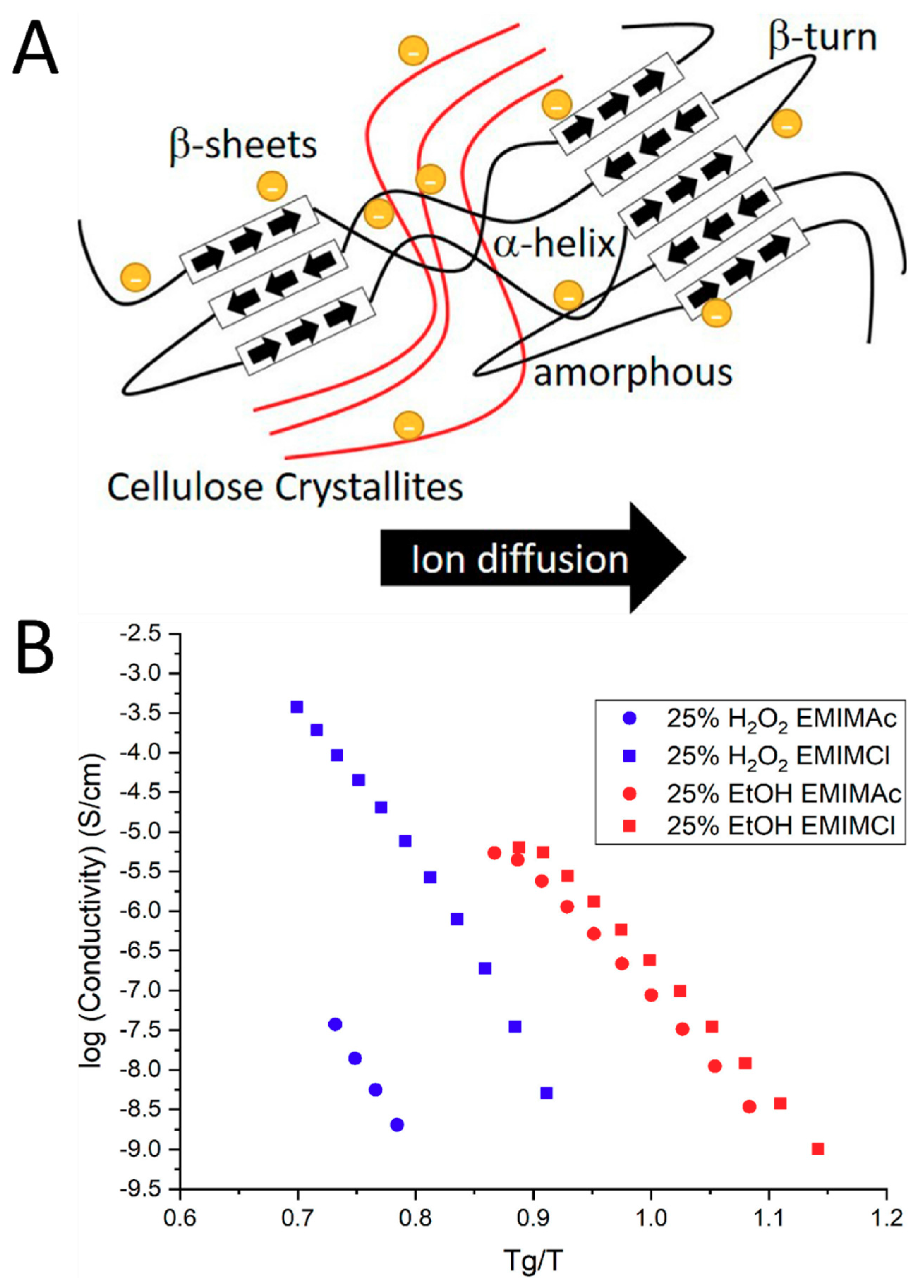 Molecules 25 03362 g007