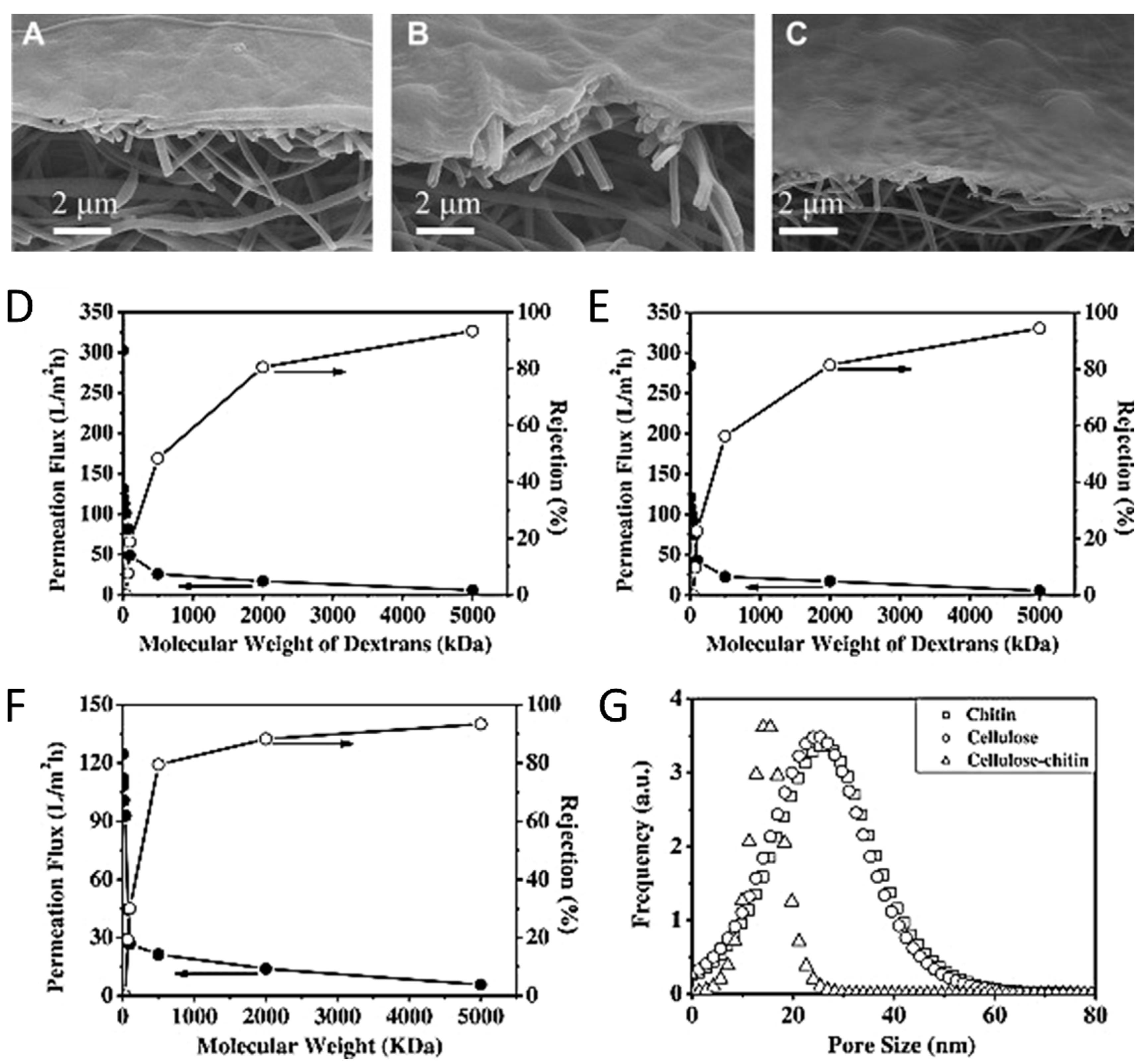 Molecules 25 03362 g010