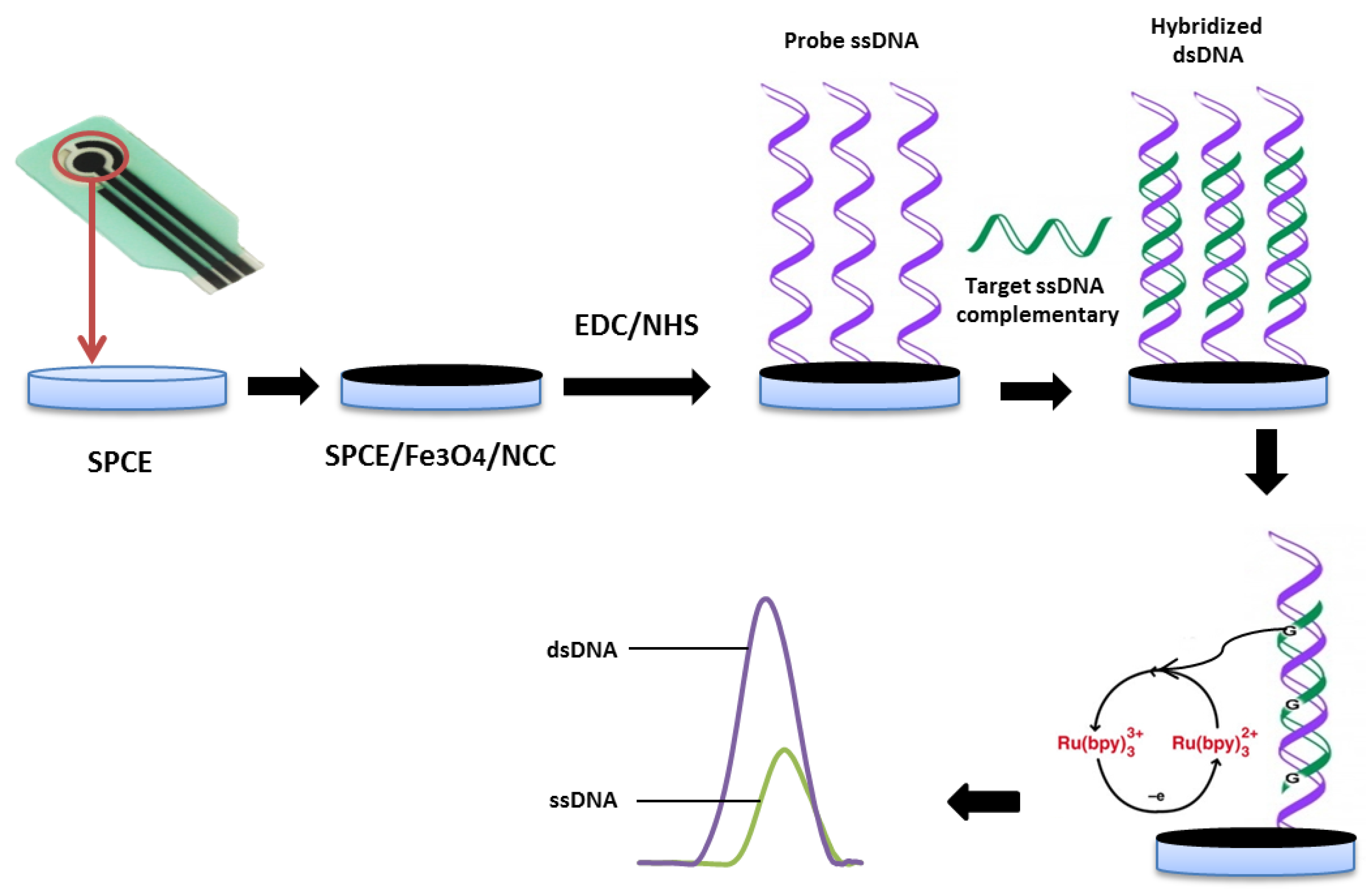 Molecules 25 03373 sch001 Molecules 25 03373 sch001