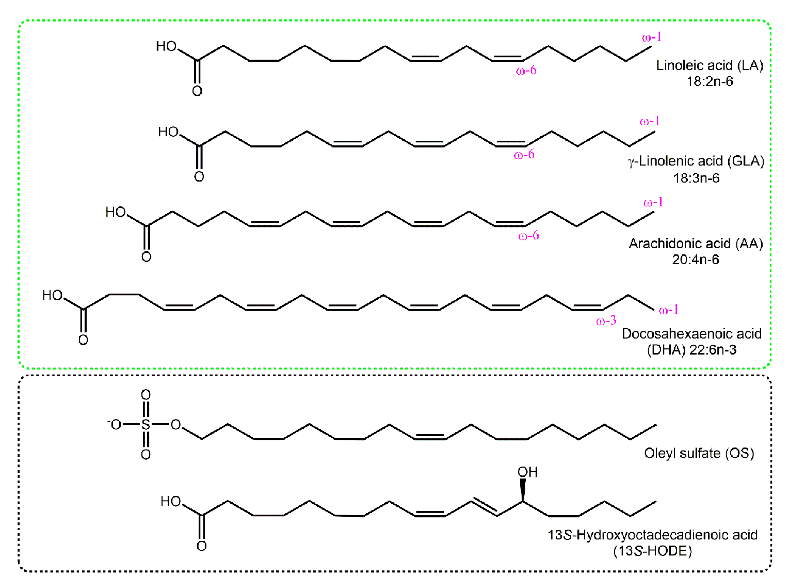 Molecules 25 03374 g001