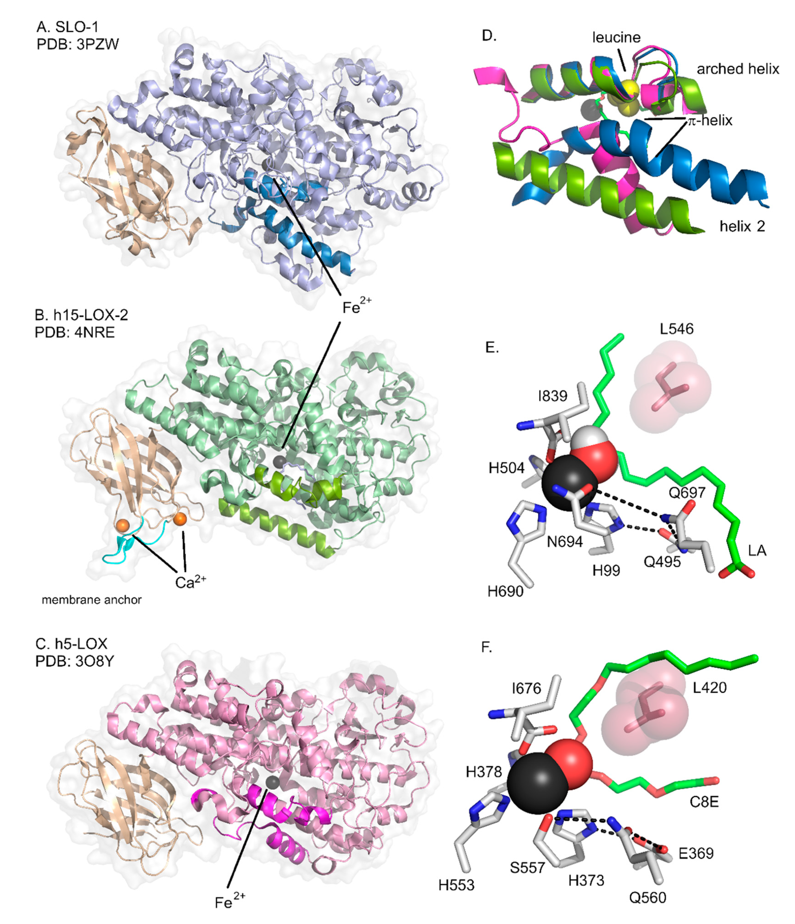 Molecules 25 03374 g002