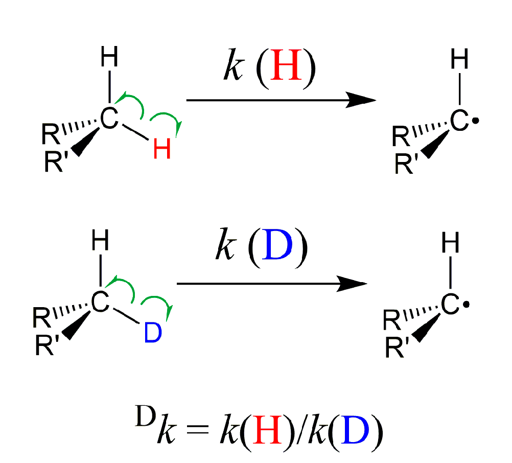 Molecules 25 03374 g003