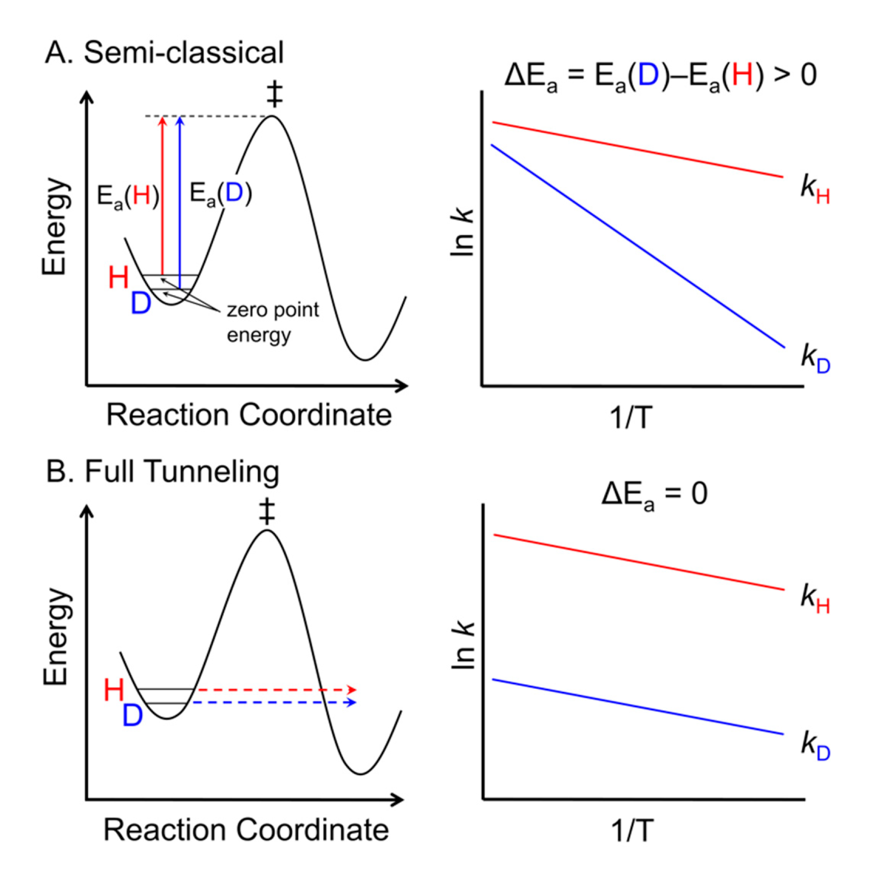 Molecules 25 03374 g004
