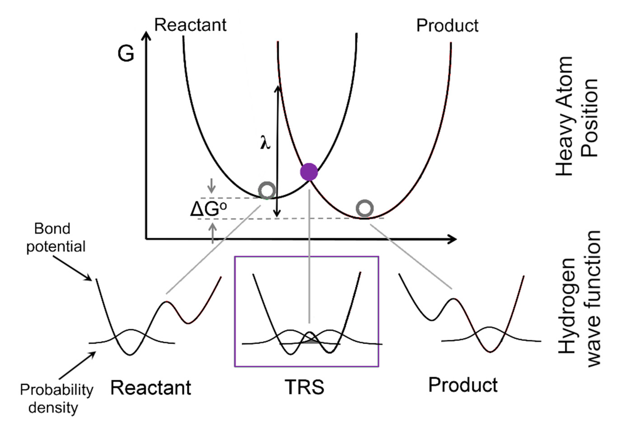 Molecules 25 03374 g005