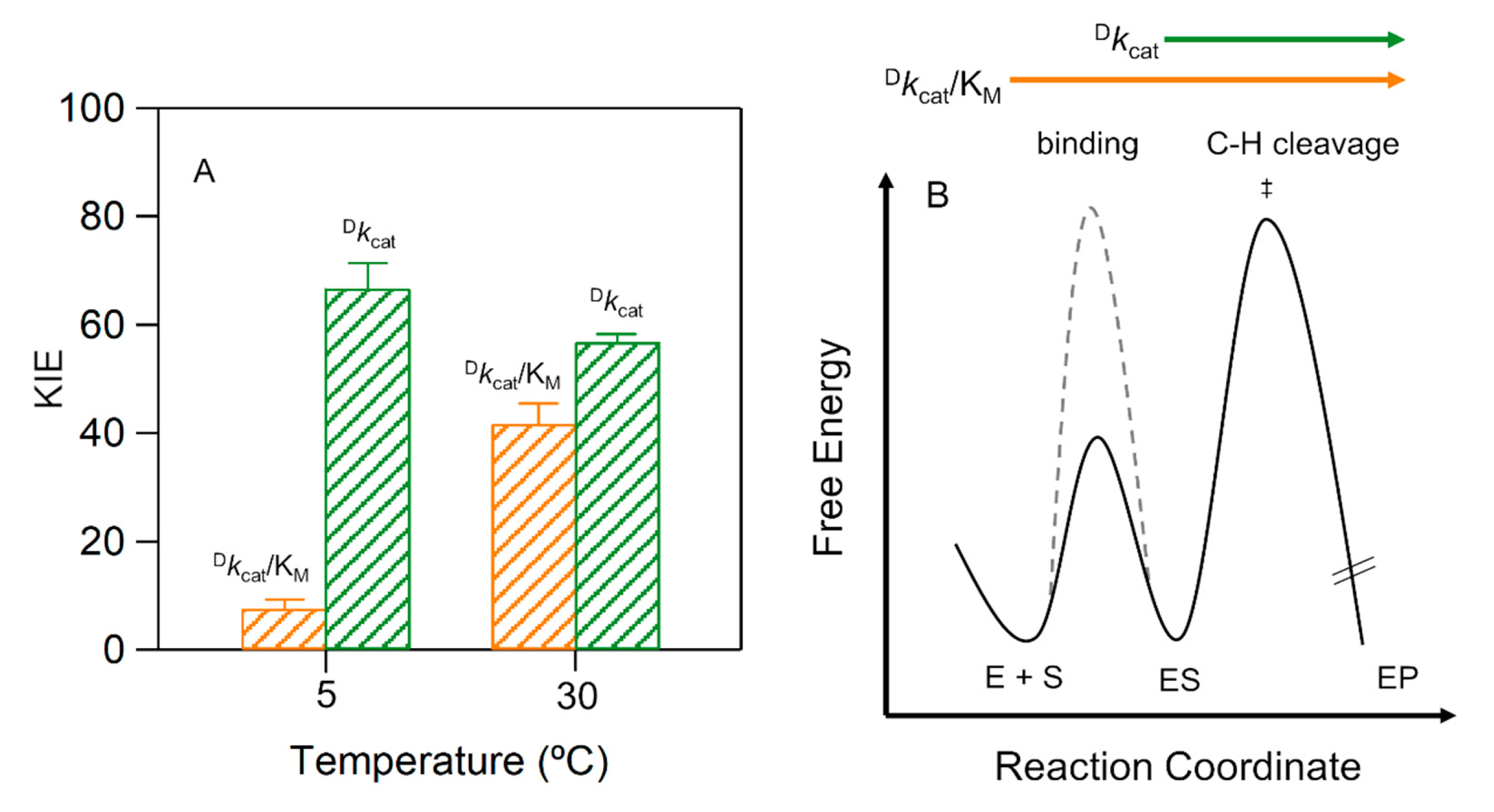 Molecules 25 03374 g006