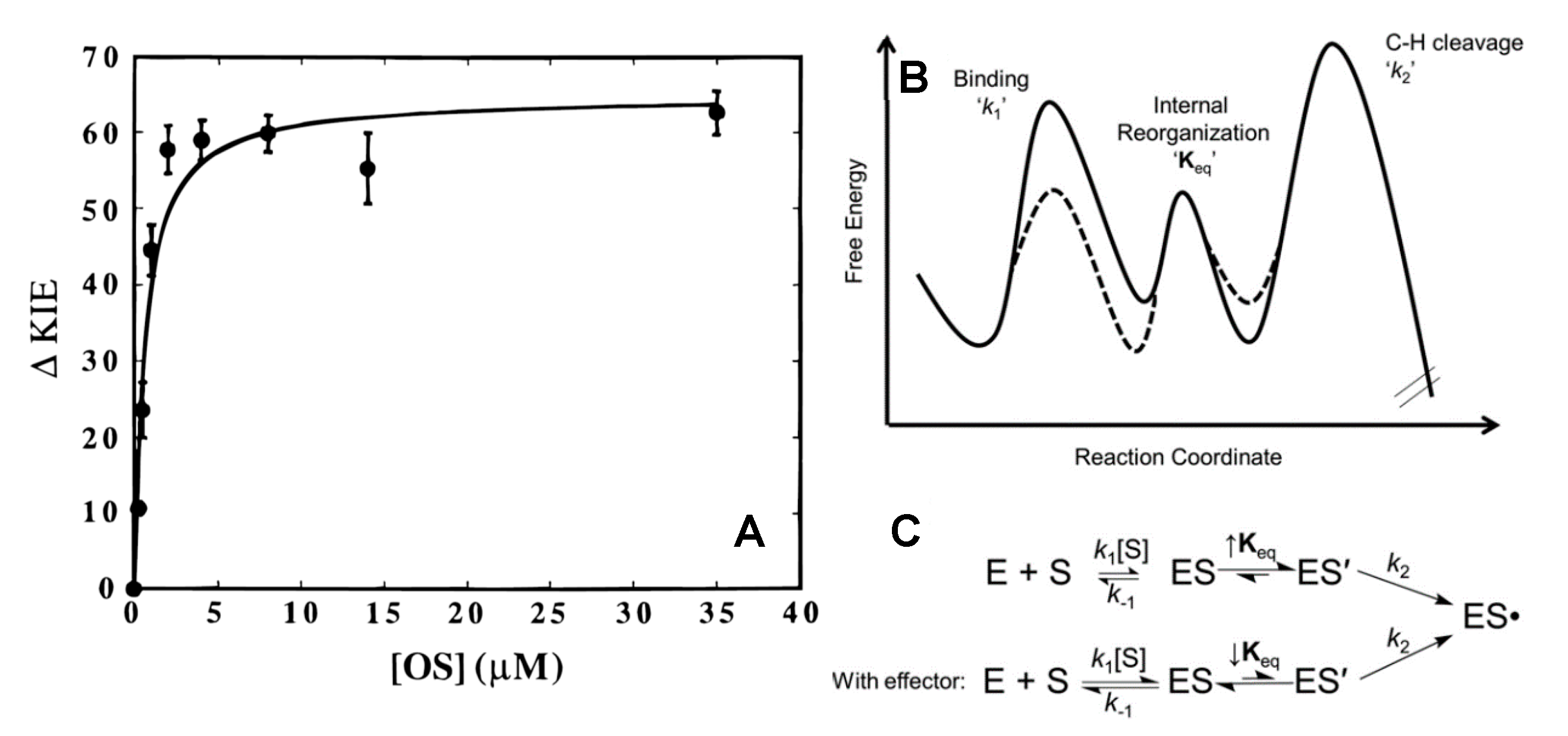Molecules 25 03374 g007
