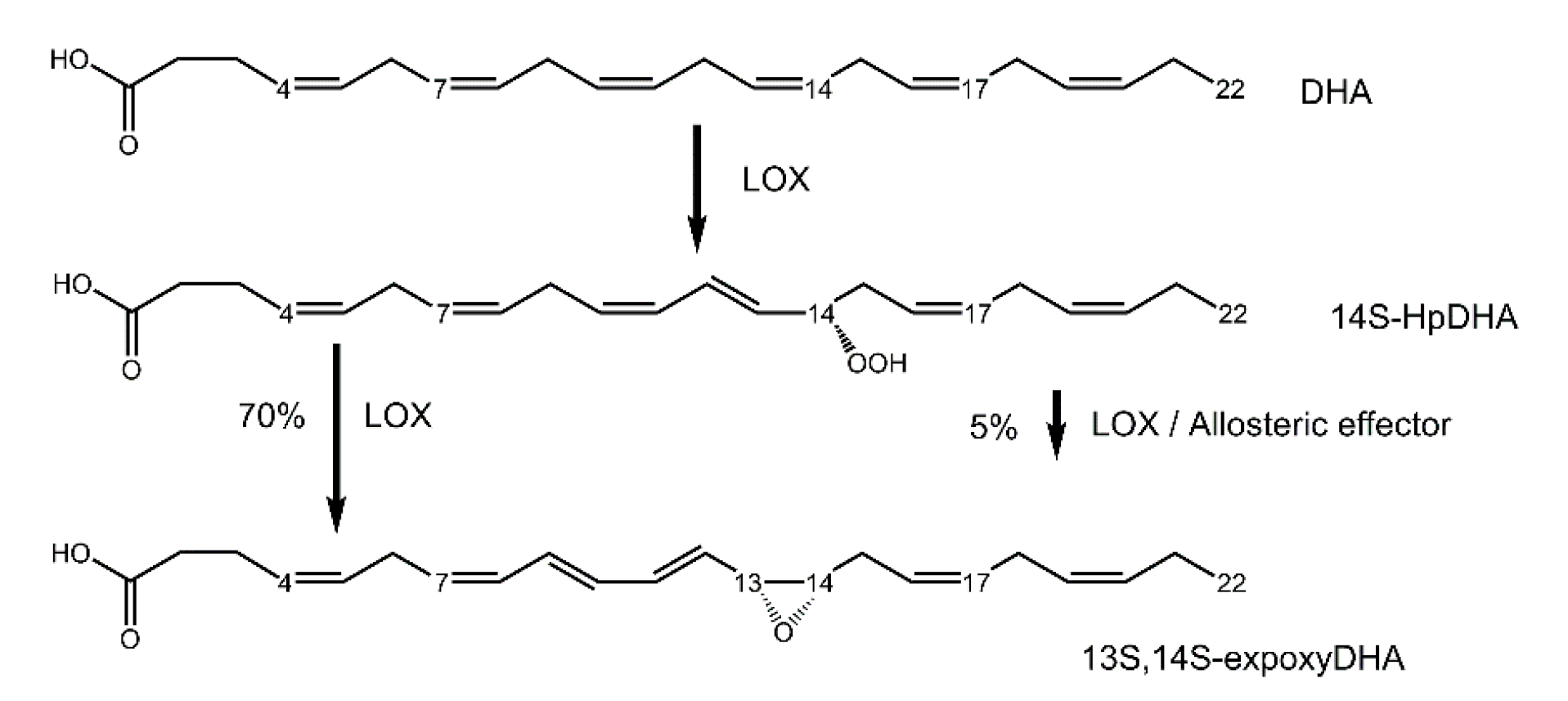 Molecules 25 03374 g008