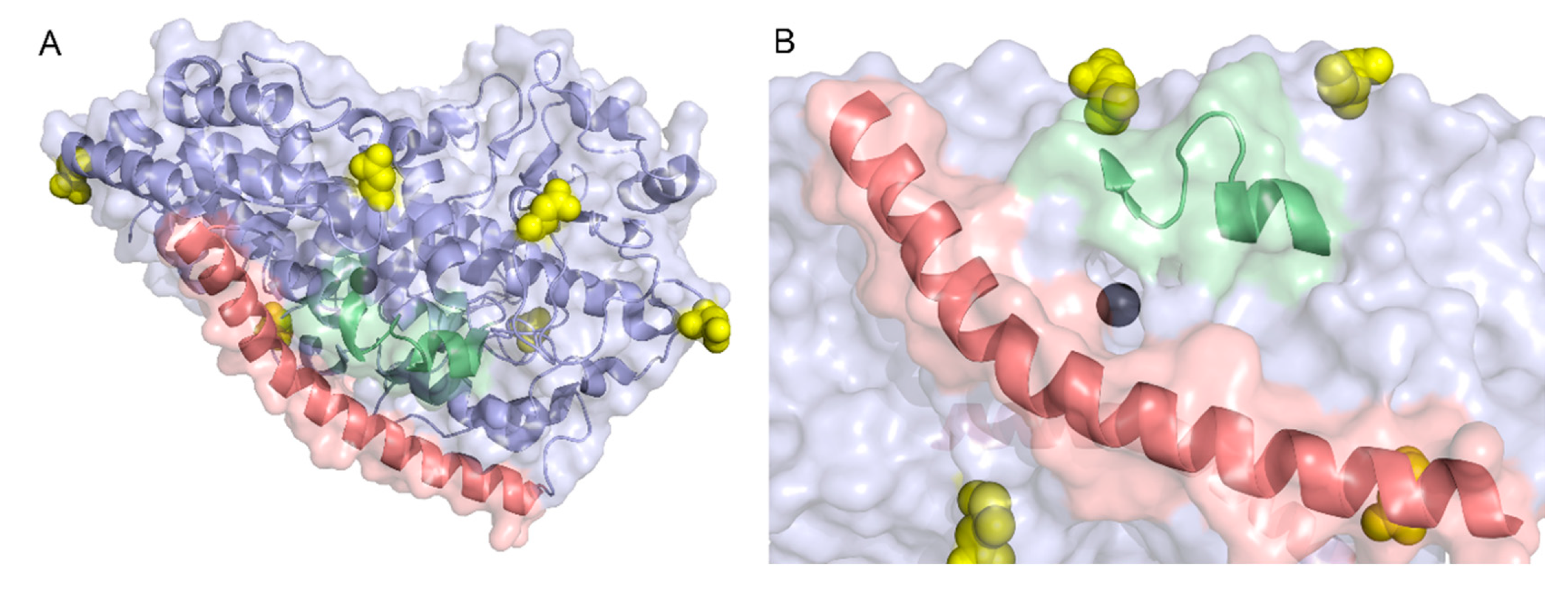 Molecules 25 03374 g009