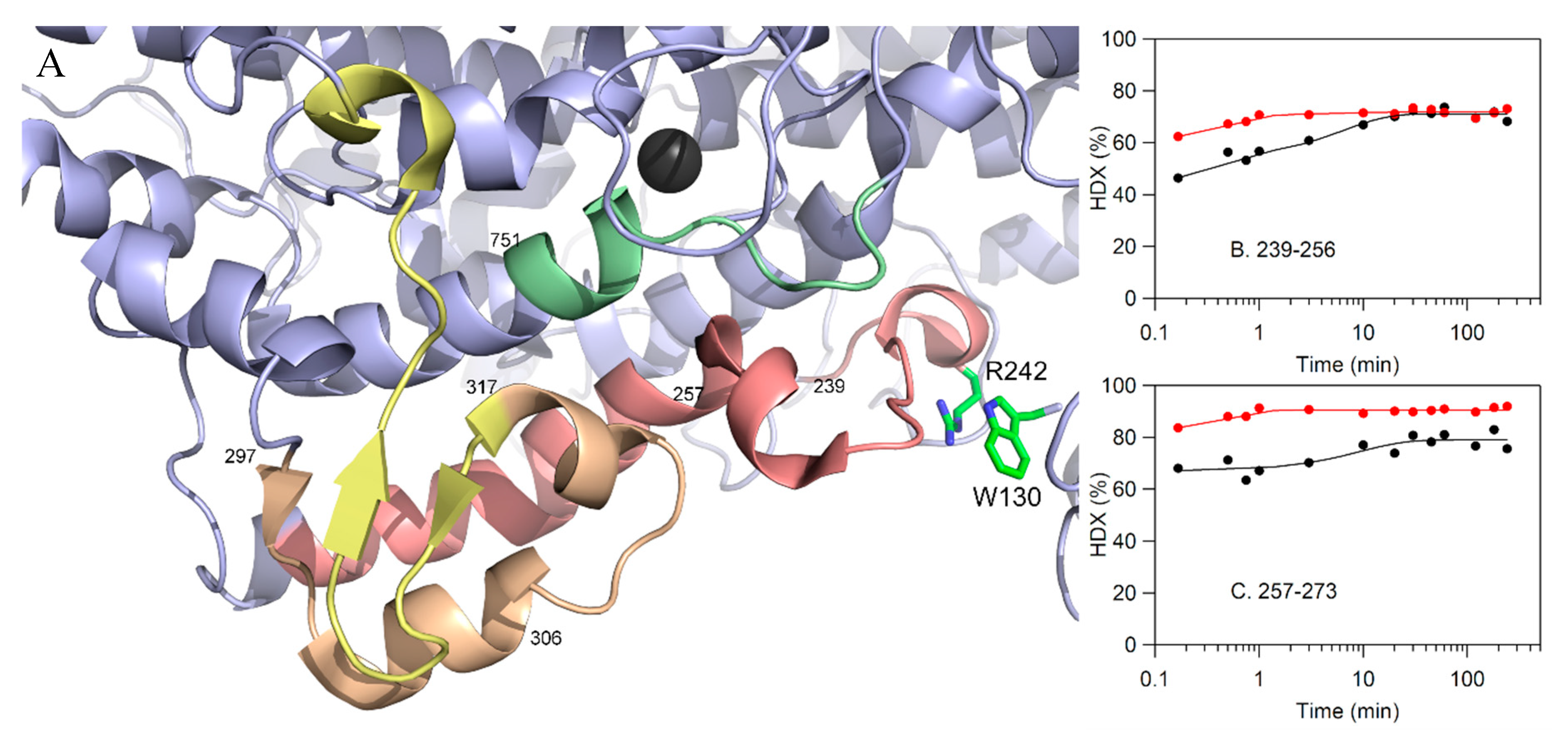 Molecules 25 03374 g011