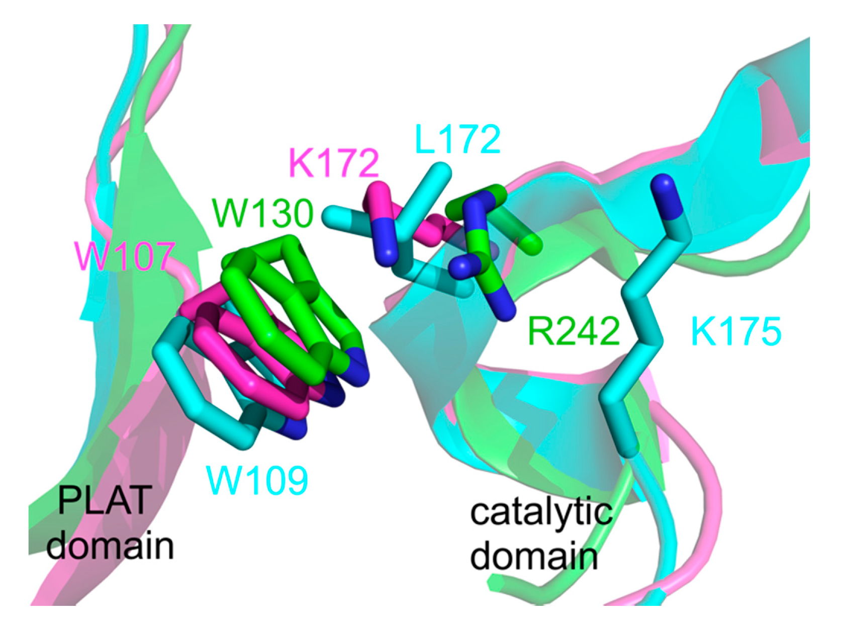 Molecules 25 03374 g012