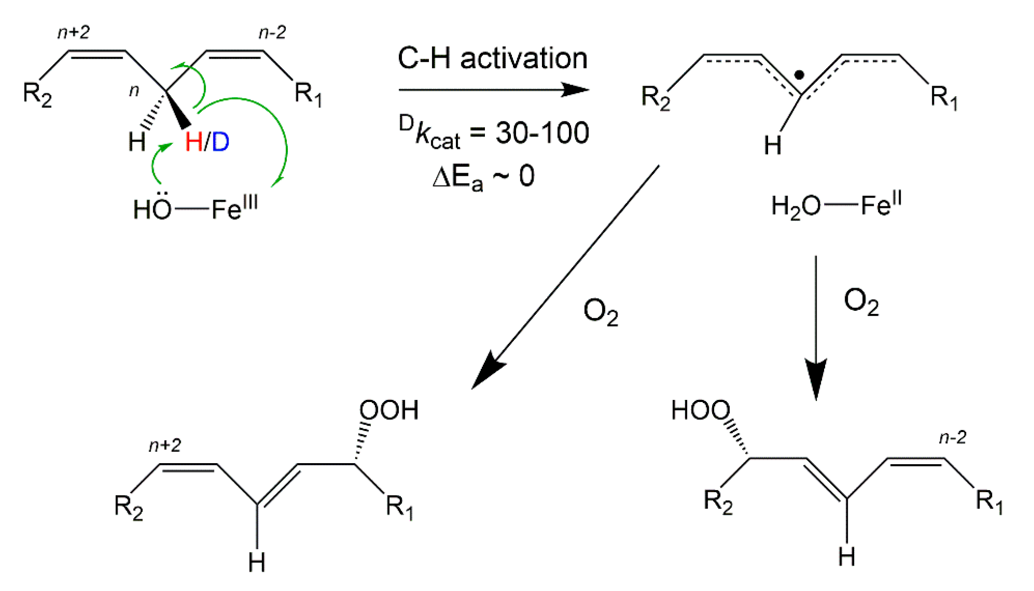 Molecules 25 03374 sch001