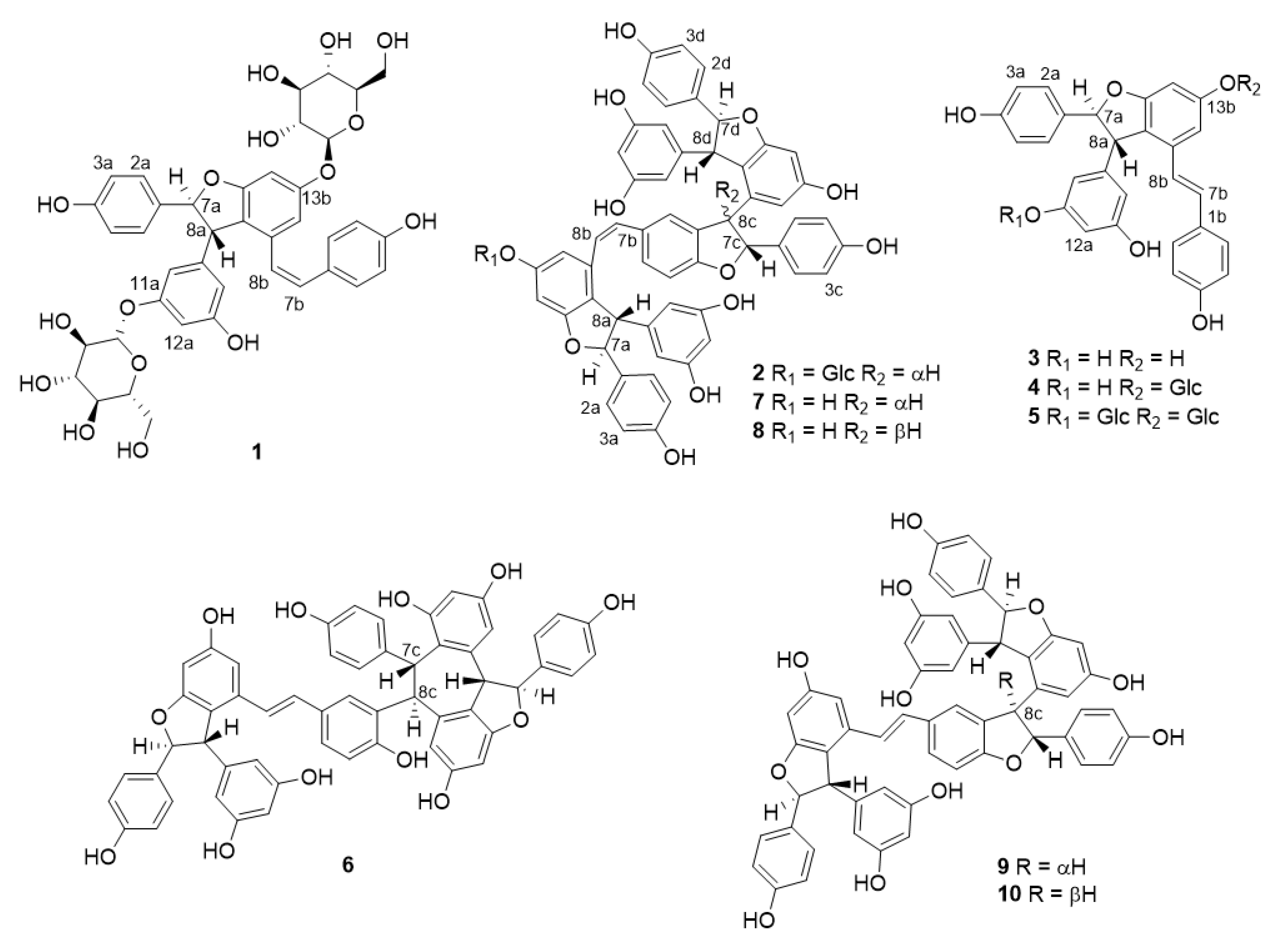 Molecules 25 03383 g004