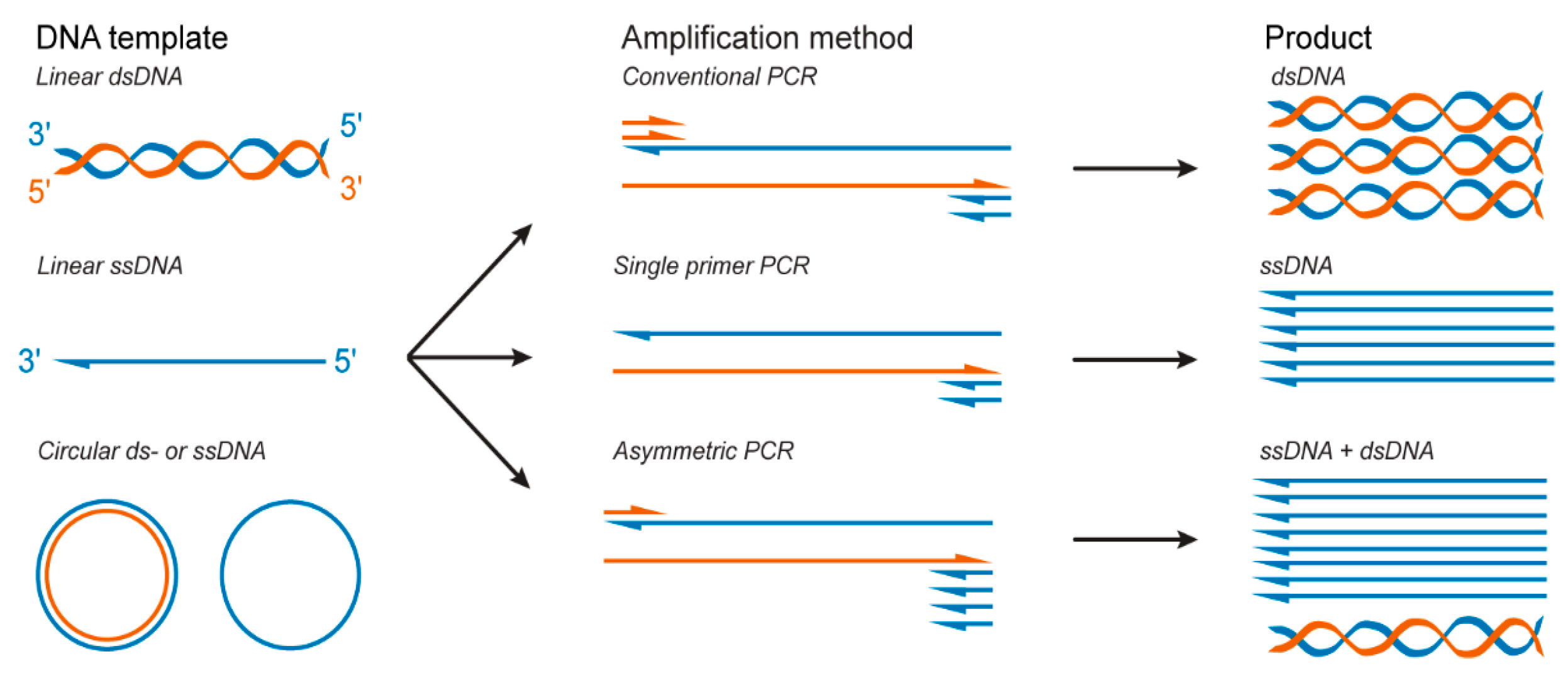 Molecules 25 03386 g003