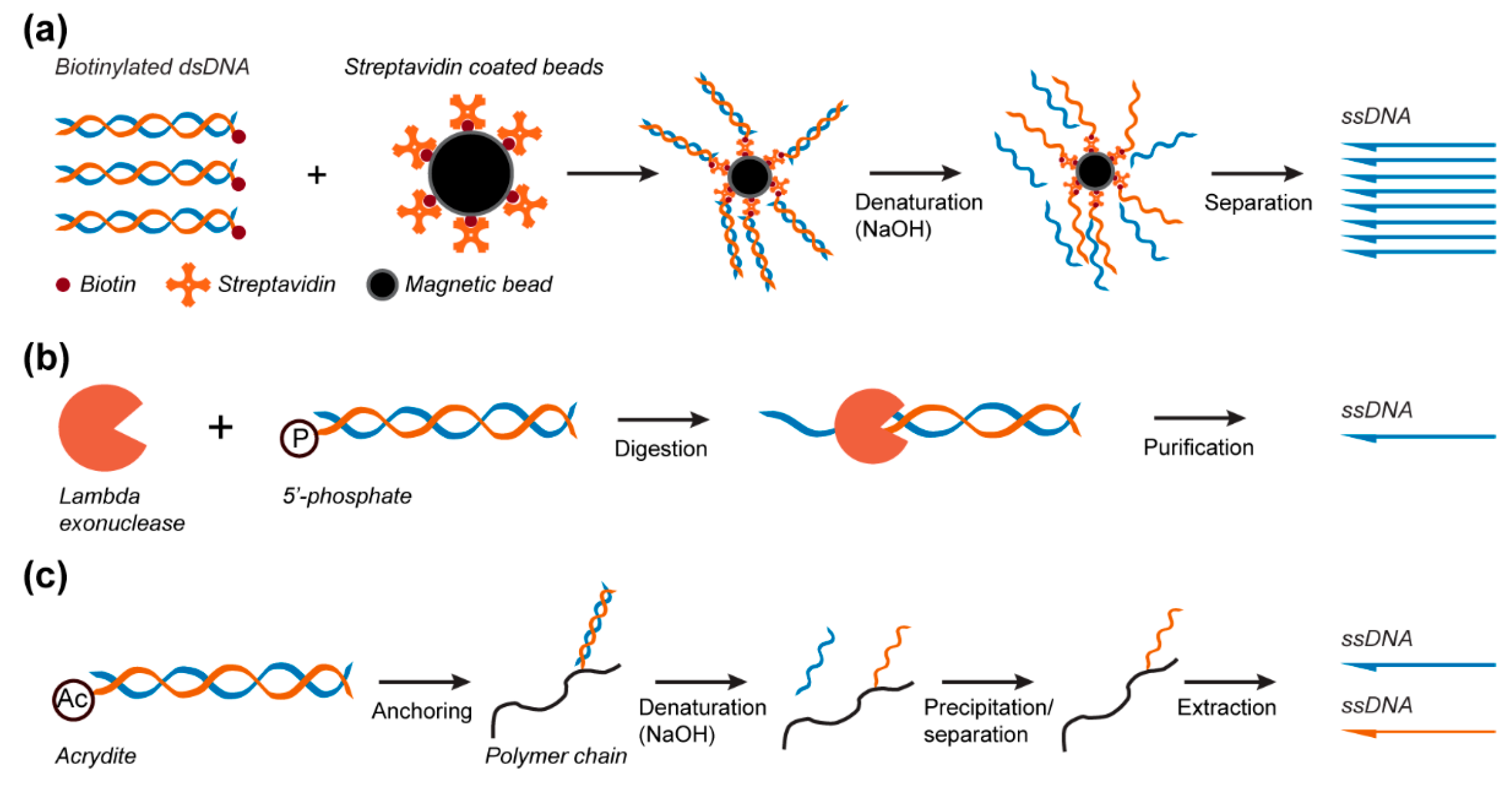 Molecules 25 03386 g004
