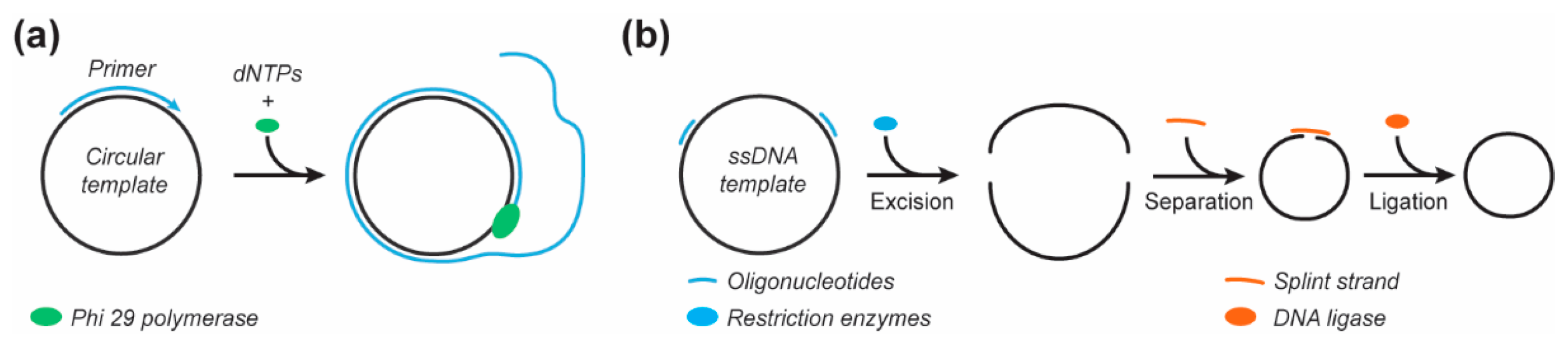 Molecules 25 03386 g005