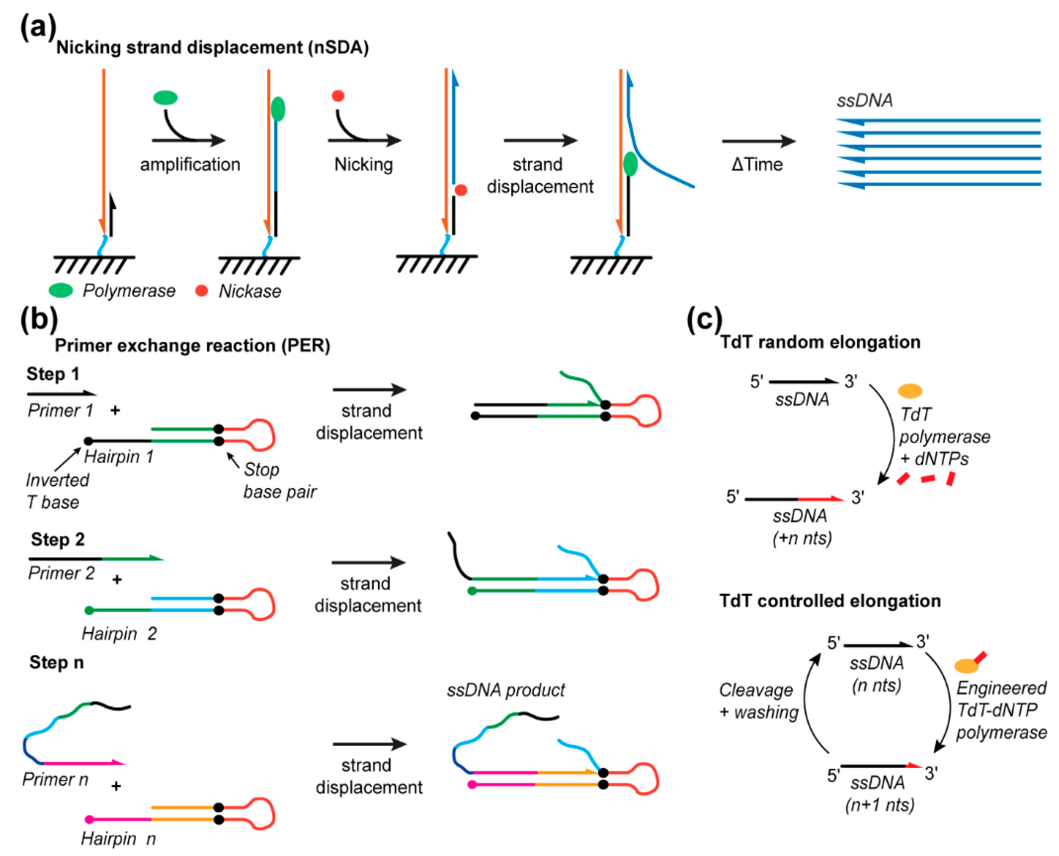 Molecules 25 03386 g006