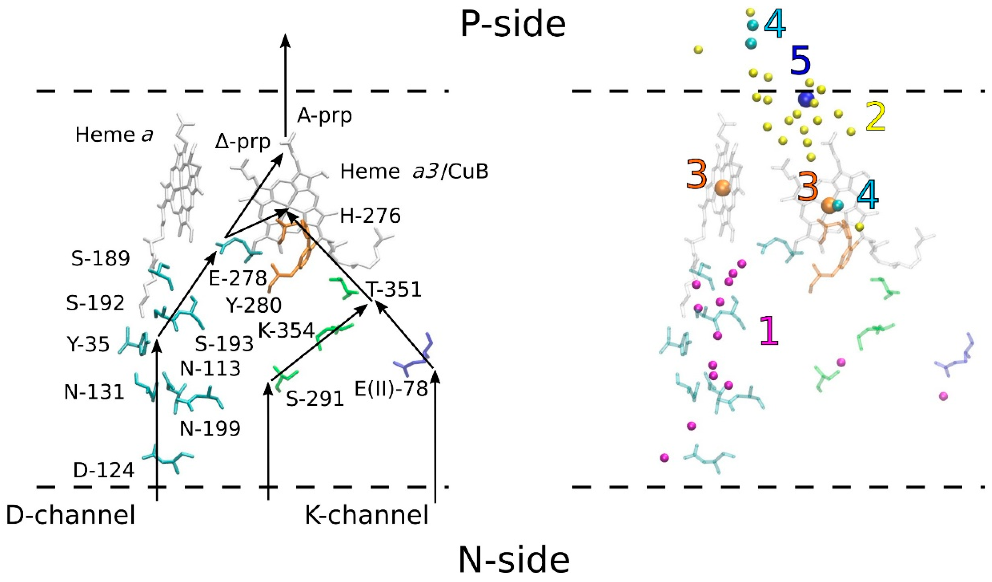 Molecules 25 03393 g002