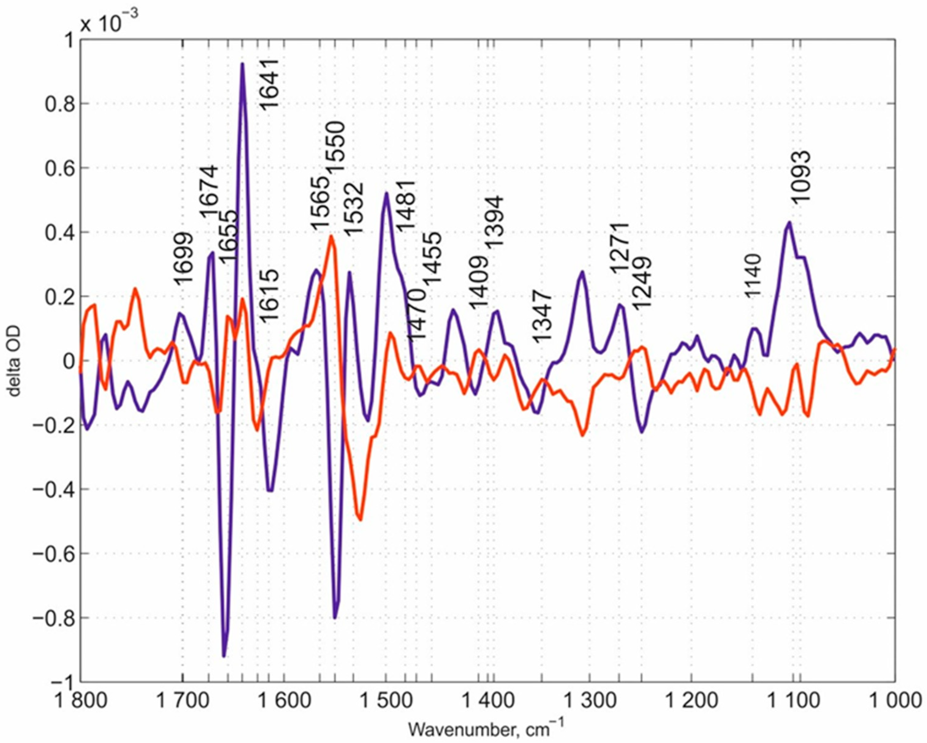 Molecules 25 03393 g004