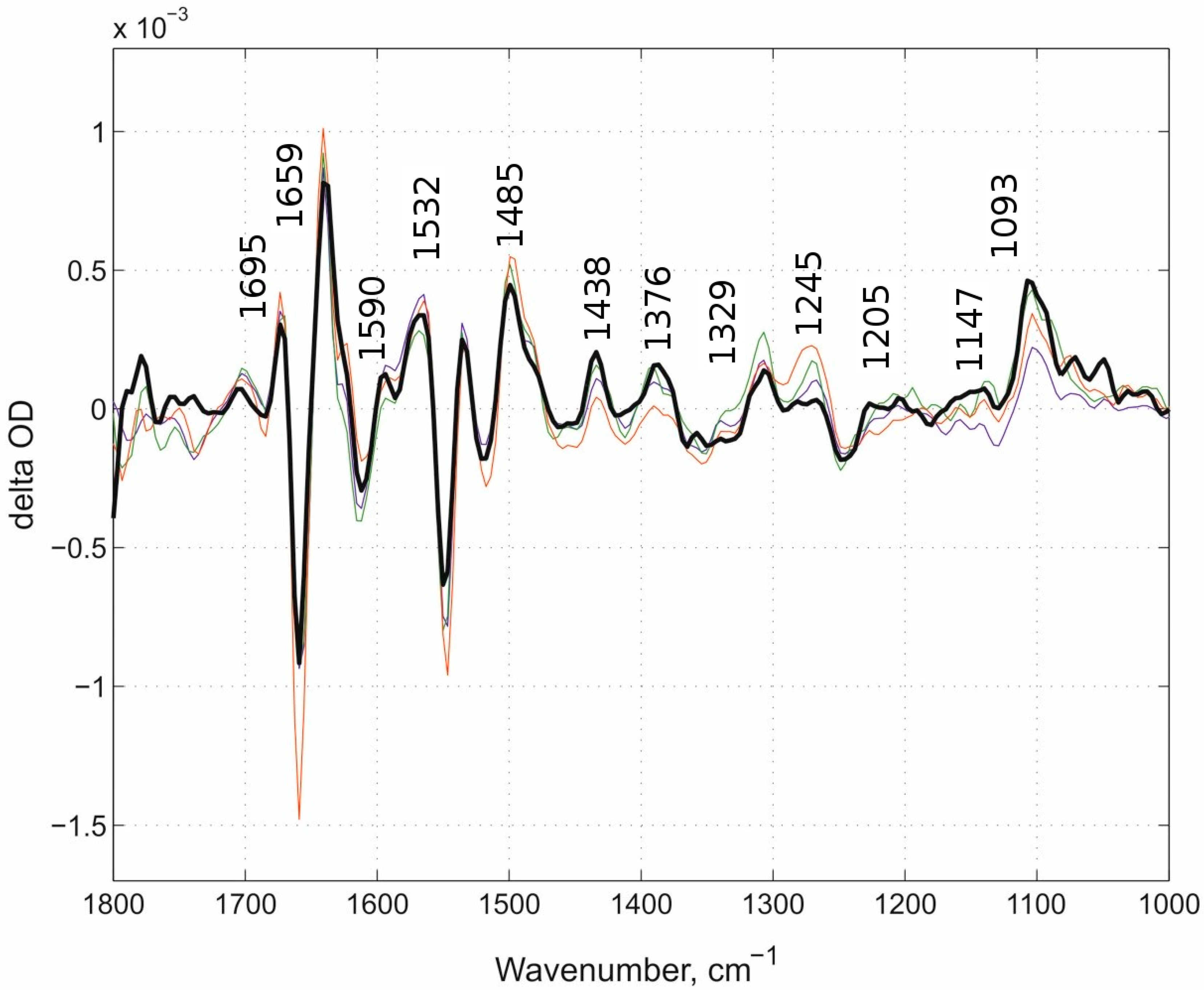 Molecules 25 03393 g006