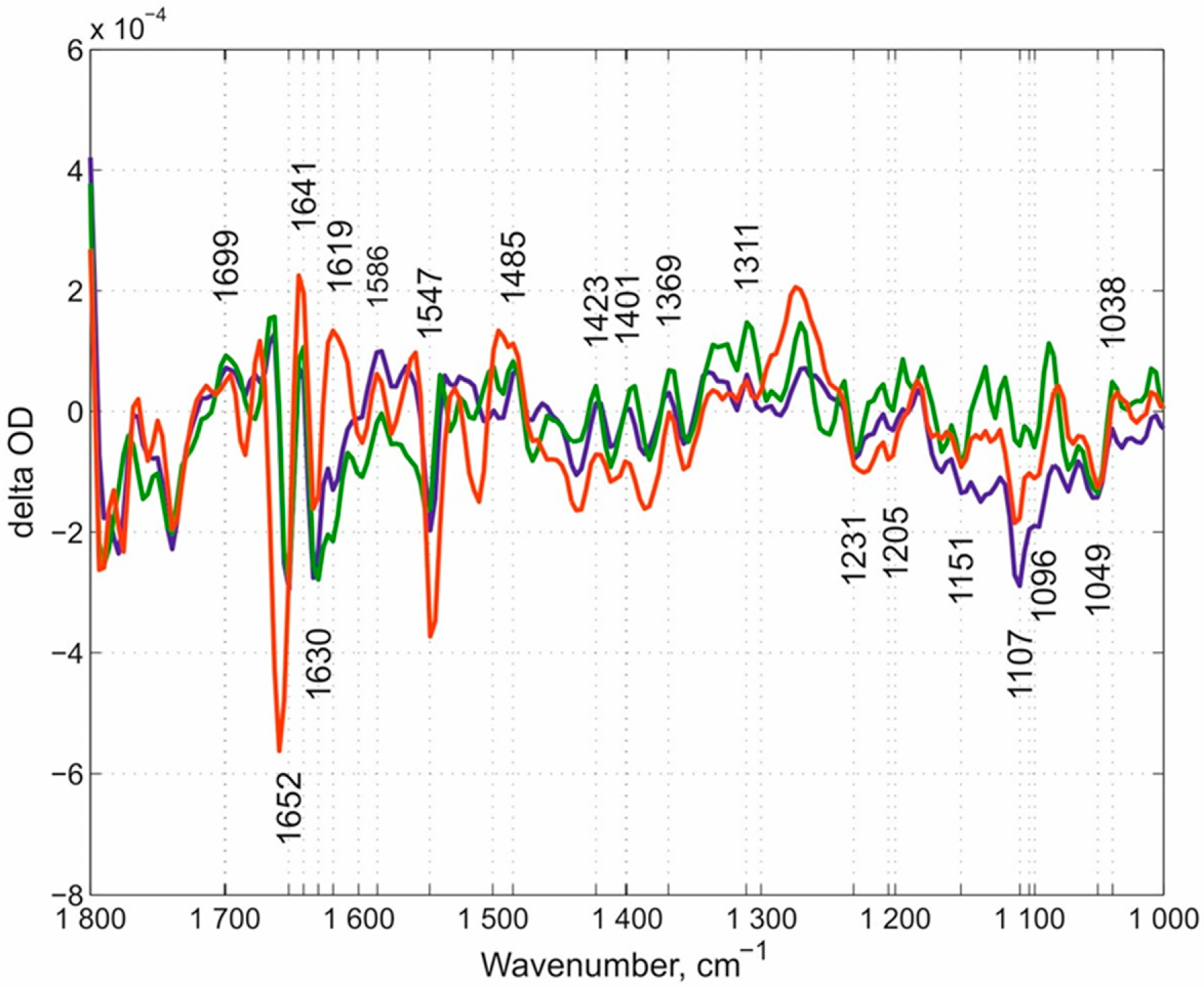 Molecules 25 03393 g007