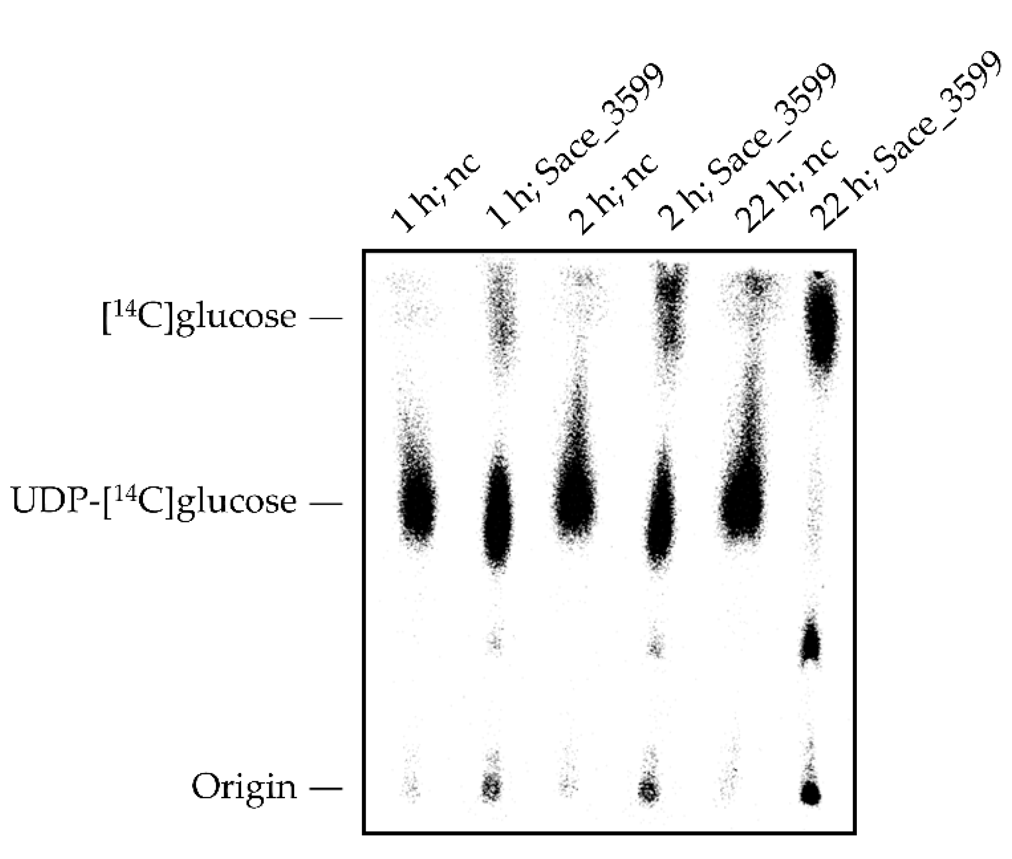 Molecules 25 03400 g006