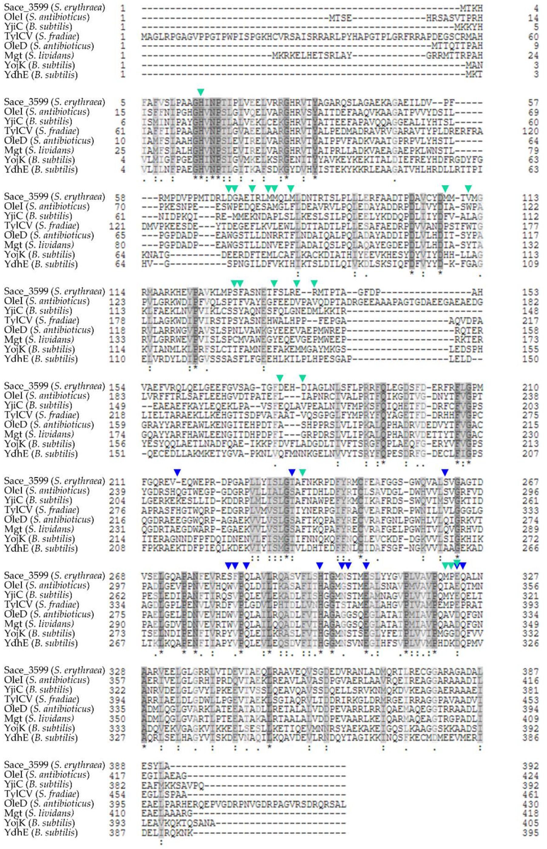 Molecules 25 03400 g008
