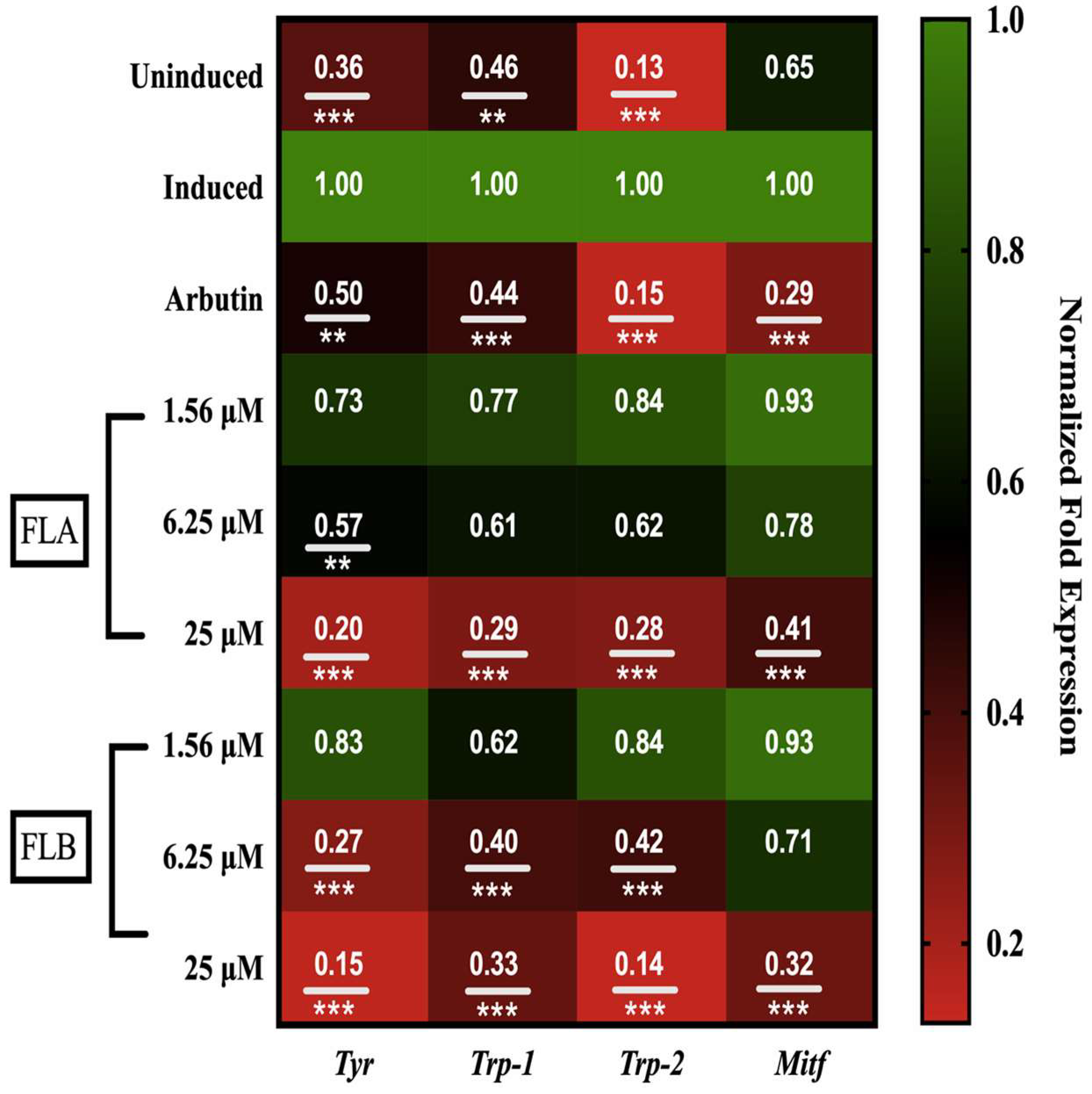 Molecules 25 03403 g004 Molecules 25 03403 g004