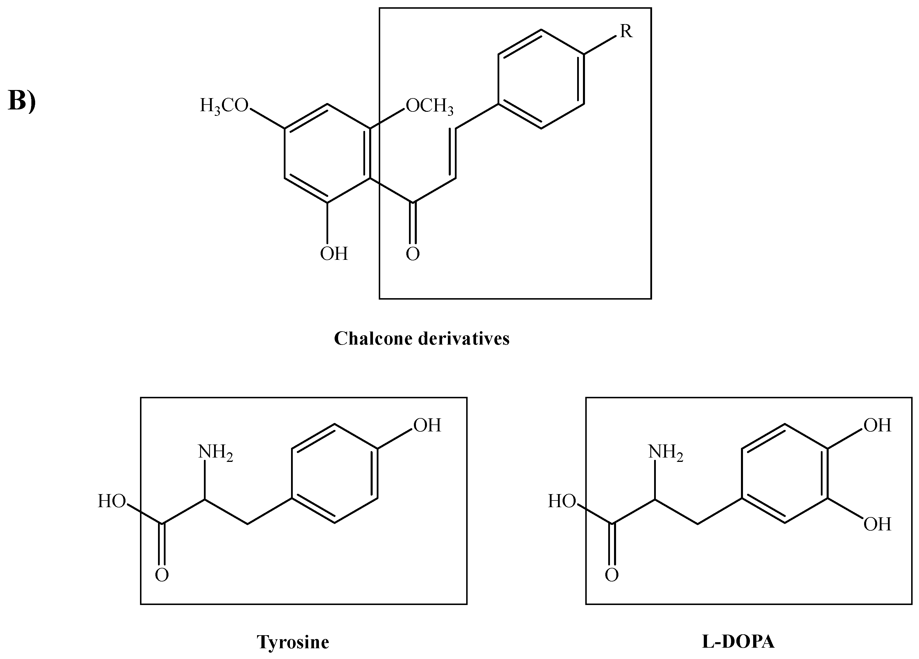 Molecules 25 03403 g007b Molecules 25 03403 g007b