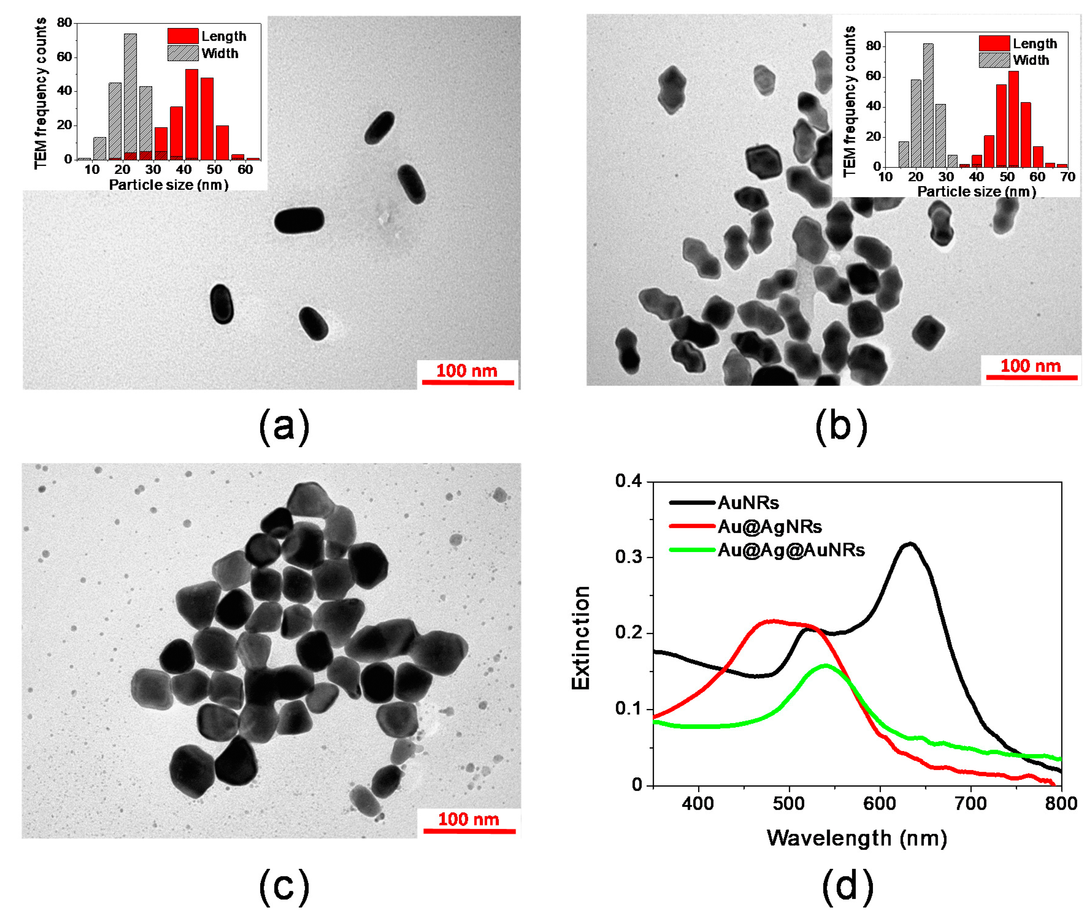 Molecules 25 03405 g001 Molecules 25 03405 g001