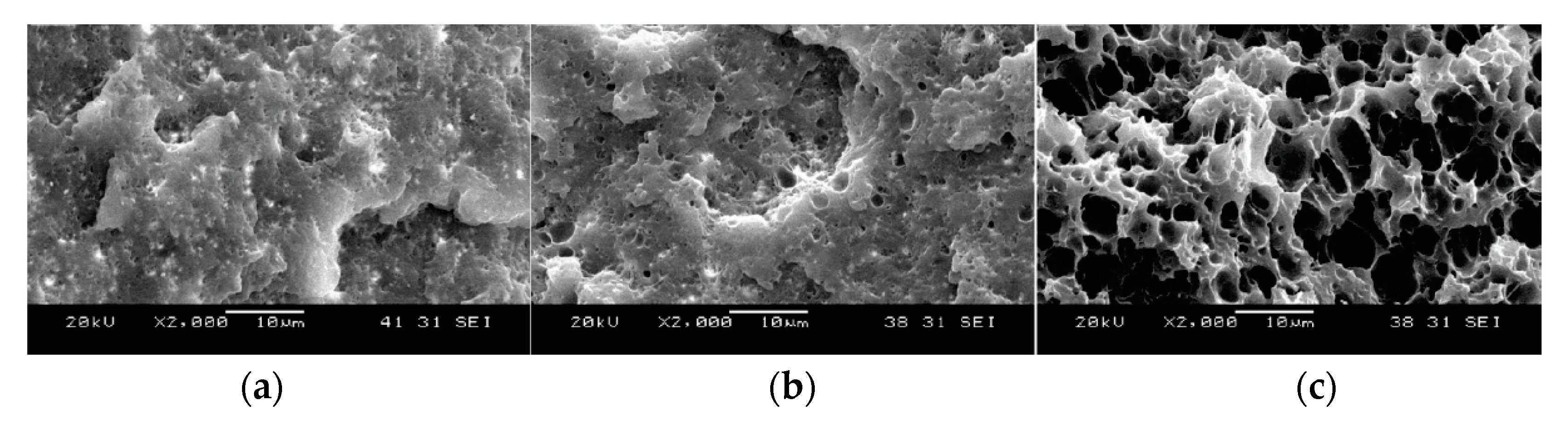 Molecules 25 03408 g003