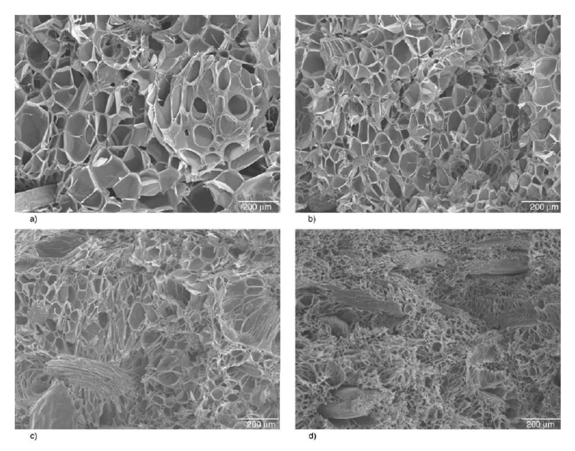 Molecules 25 03408 g004