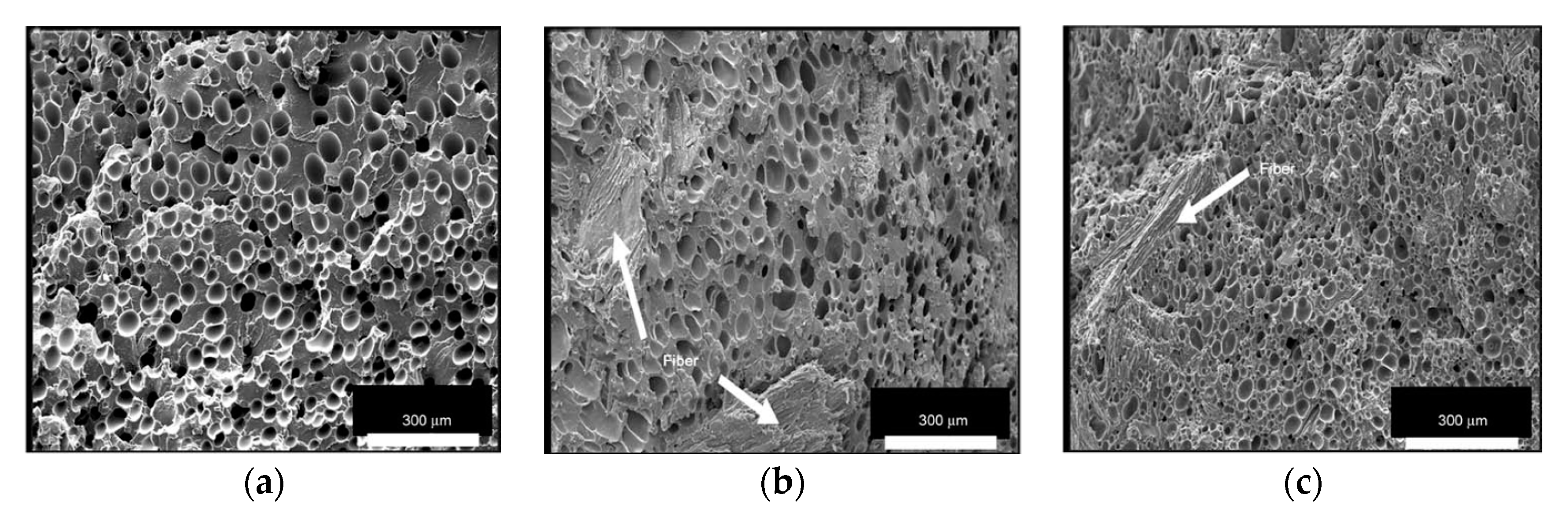 Molecules 25 03408 g023