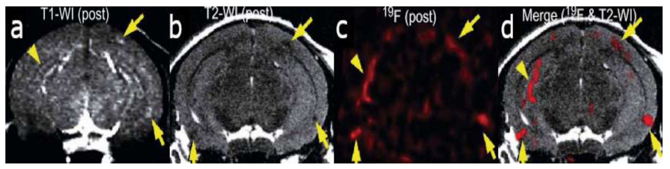 Molecules 25 03413 g001