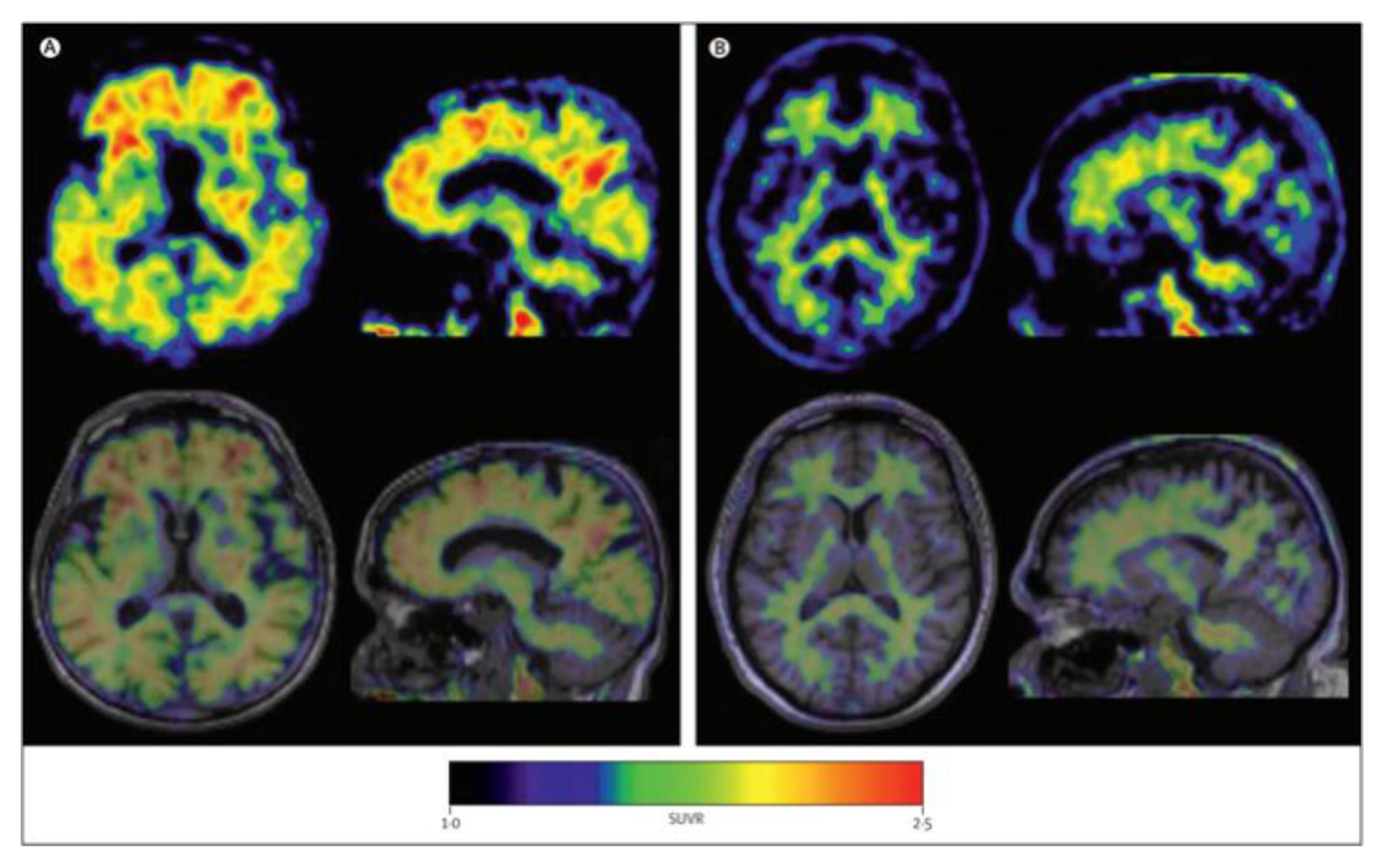 Molecules 25 03413 g004