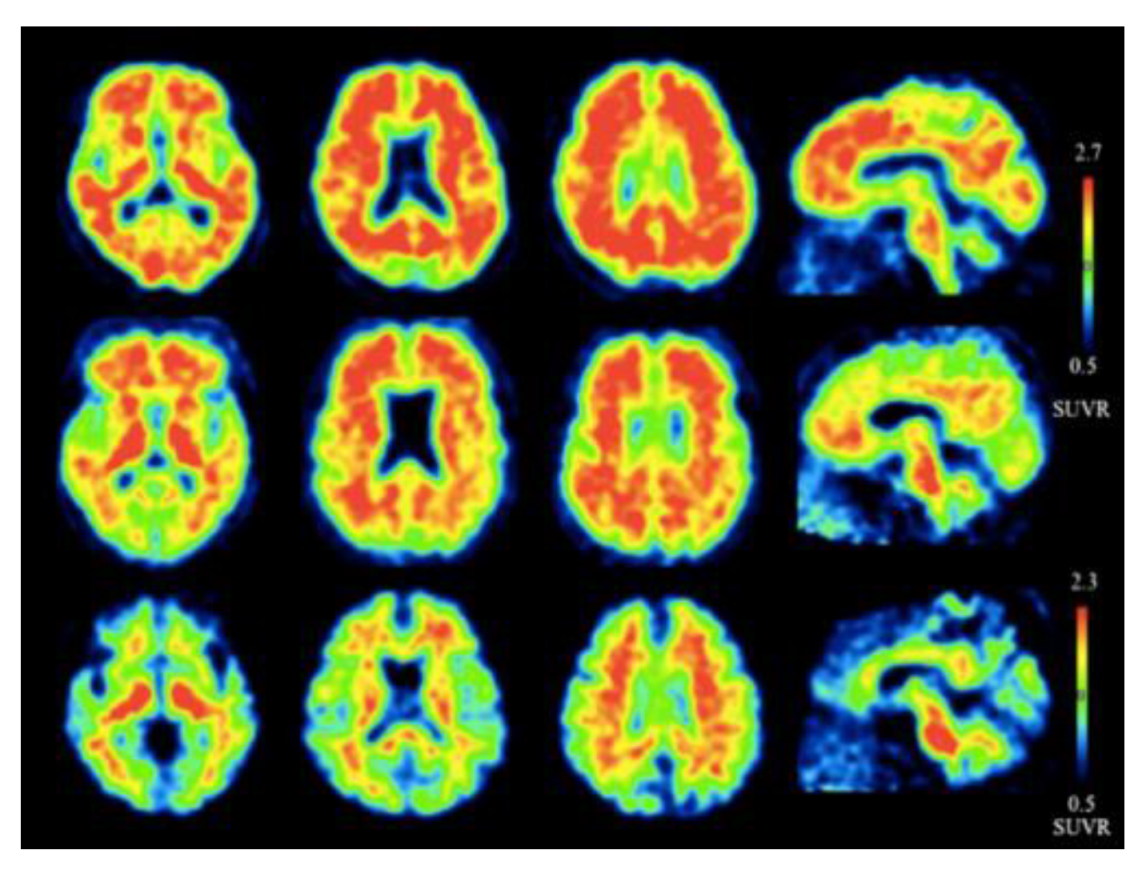 Molecules 25 03413 g005