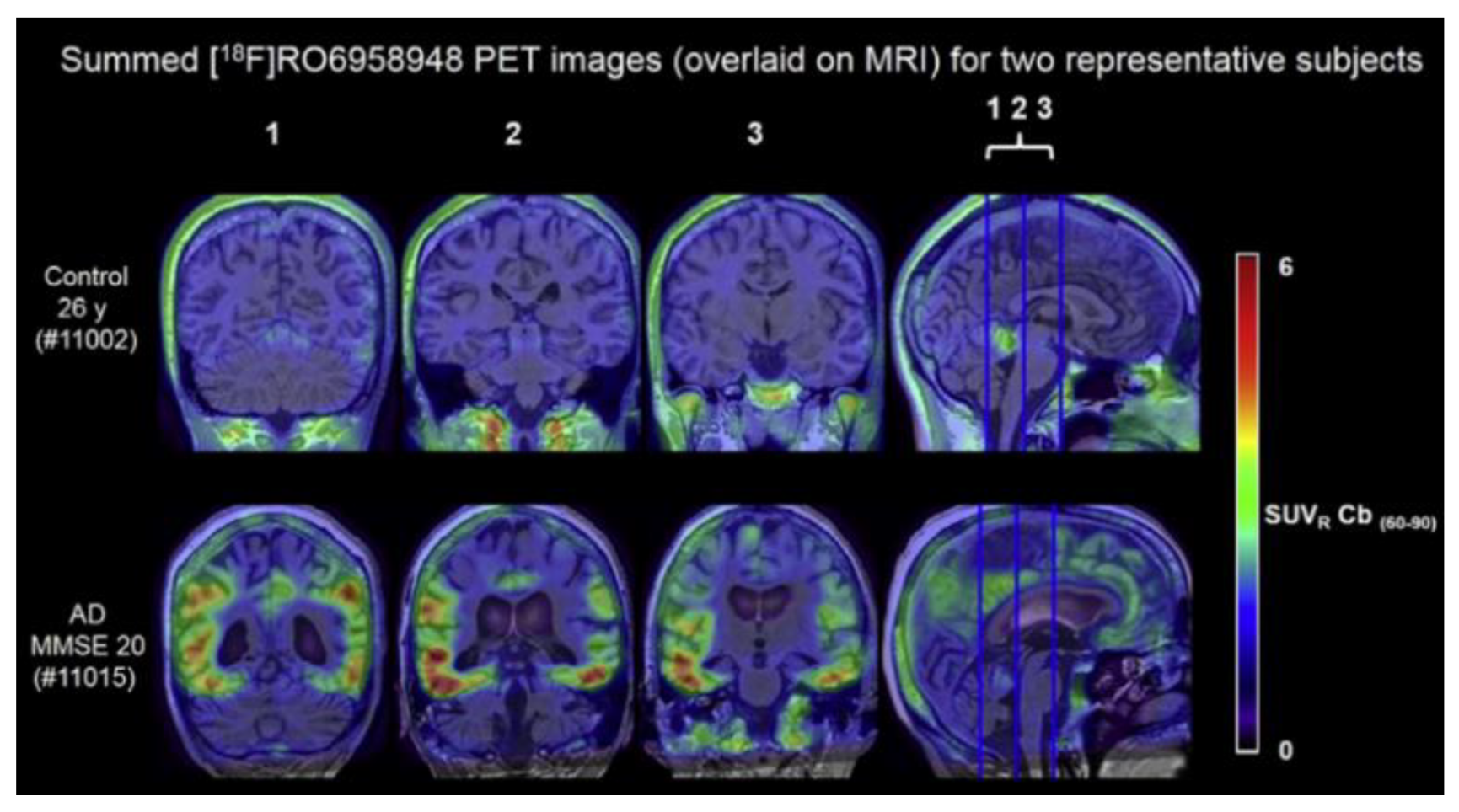 Molecules 25 03413 g007
