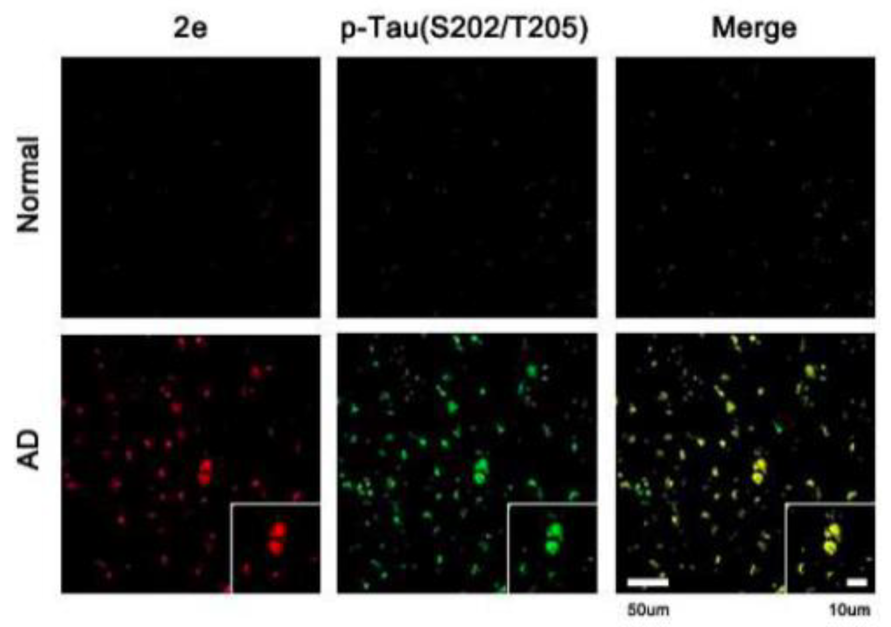 Molecules 25 03413 g009