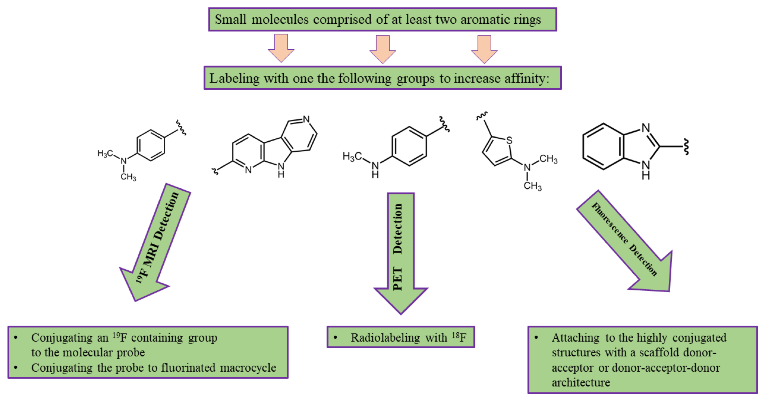 Molecules 25 03413 g012