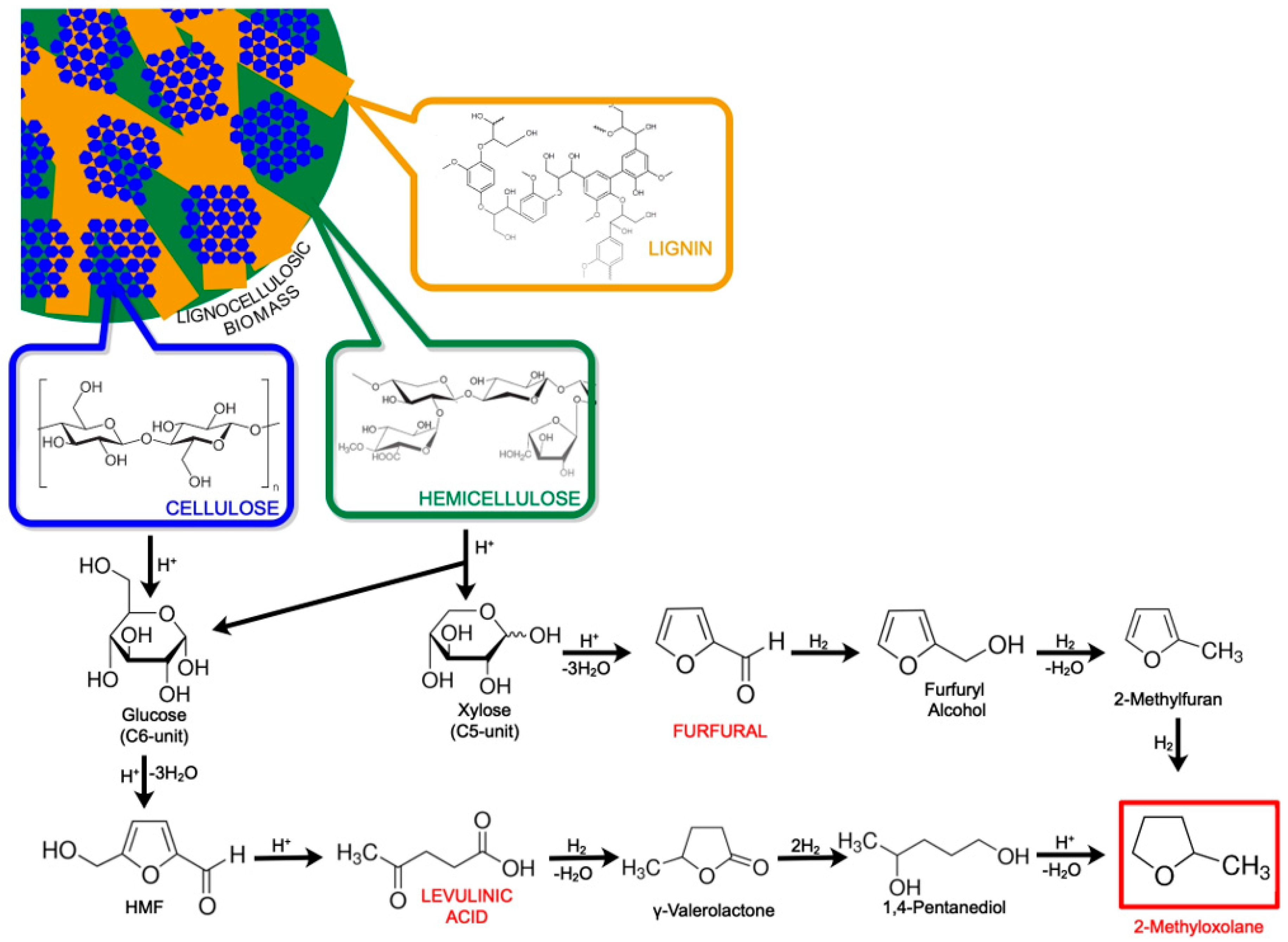 Molecules 25 03417 g001