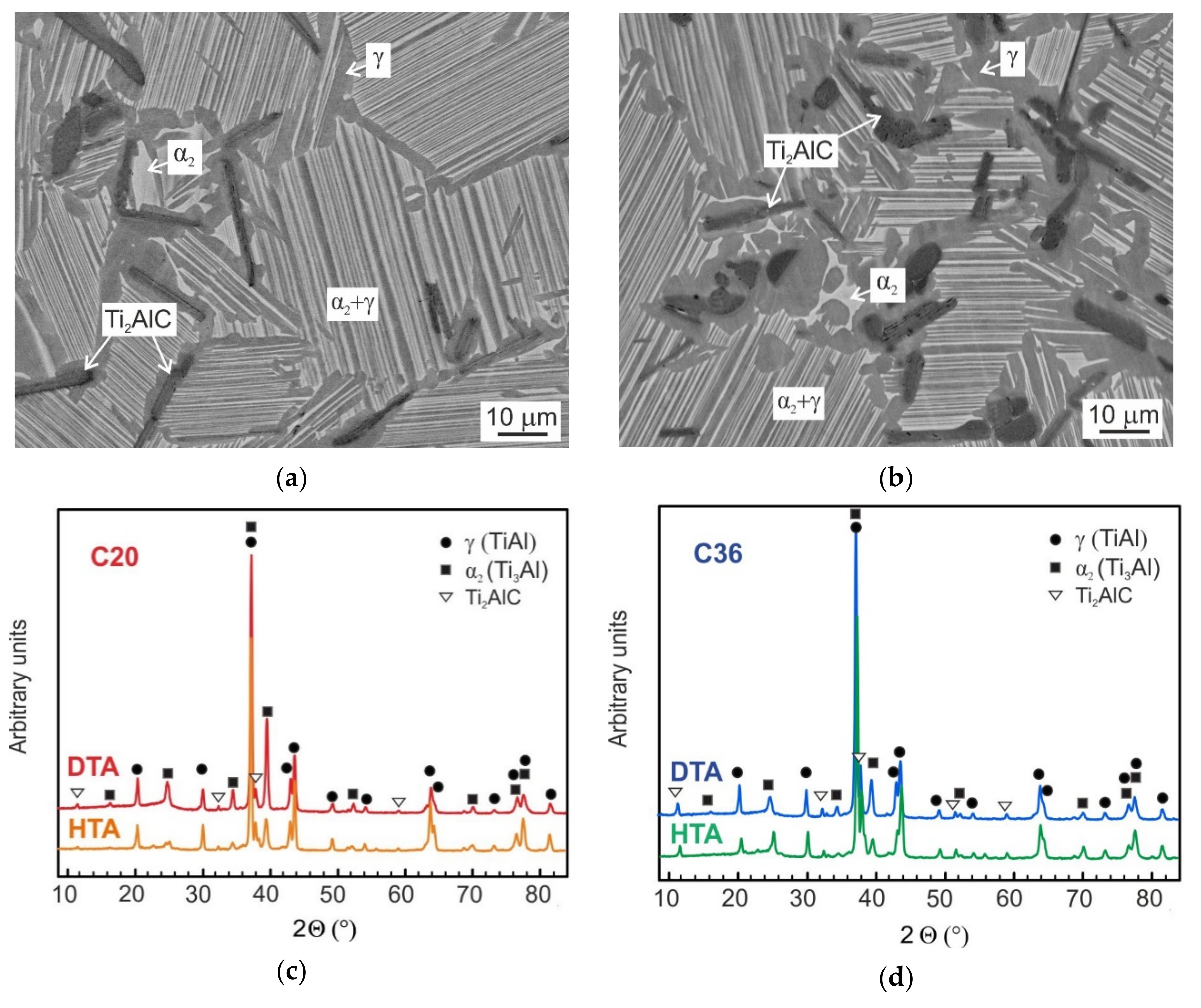 Molecules 25 03423 g001 Molecules 25 03423 g001