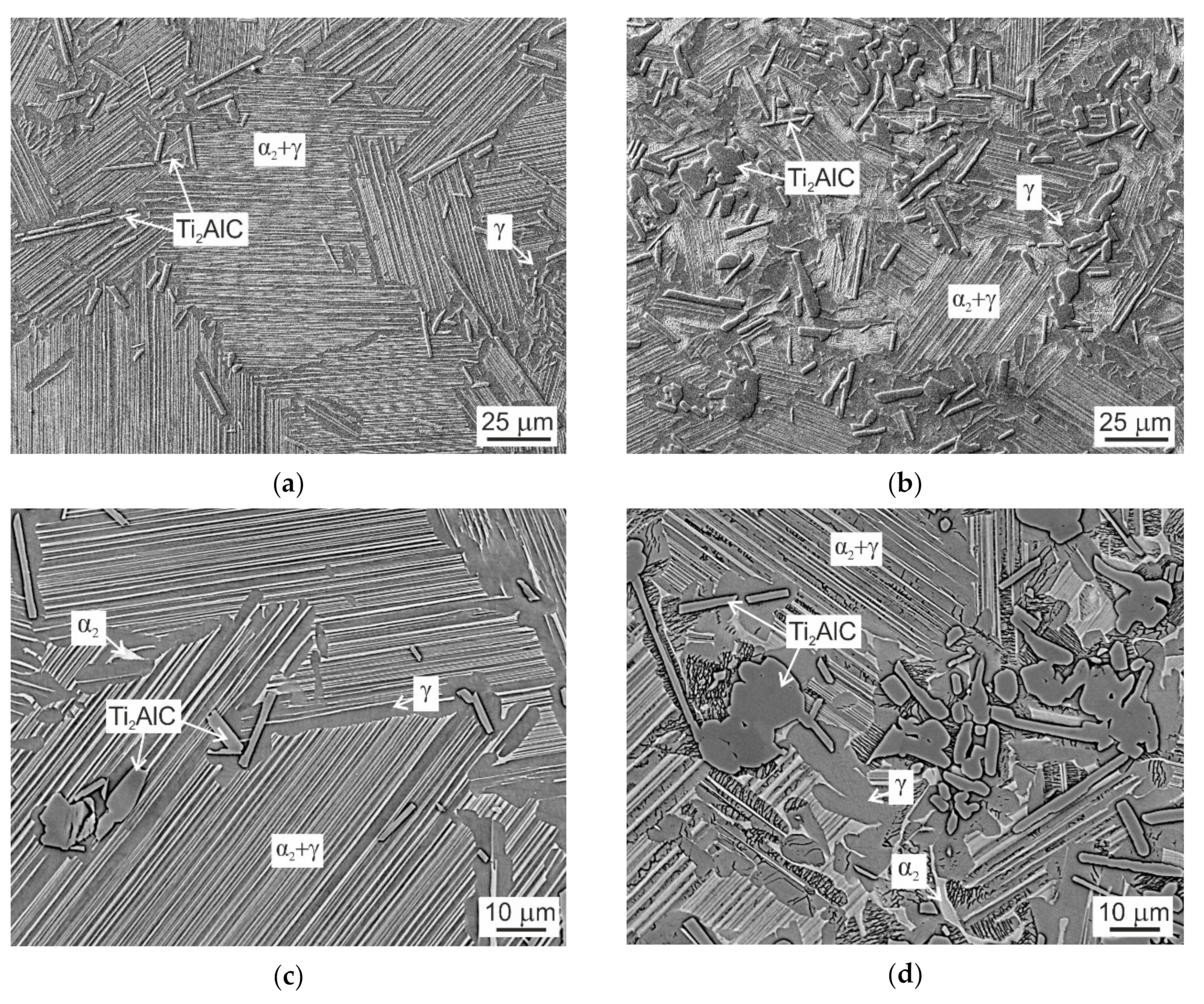 Molecules 25 03423 g004 Molecules 25 03423 g004