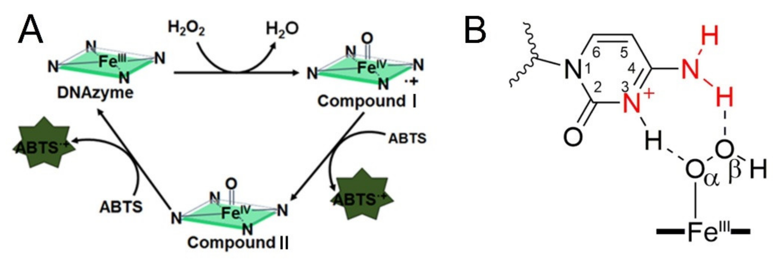 Molecules 25 03425 g001