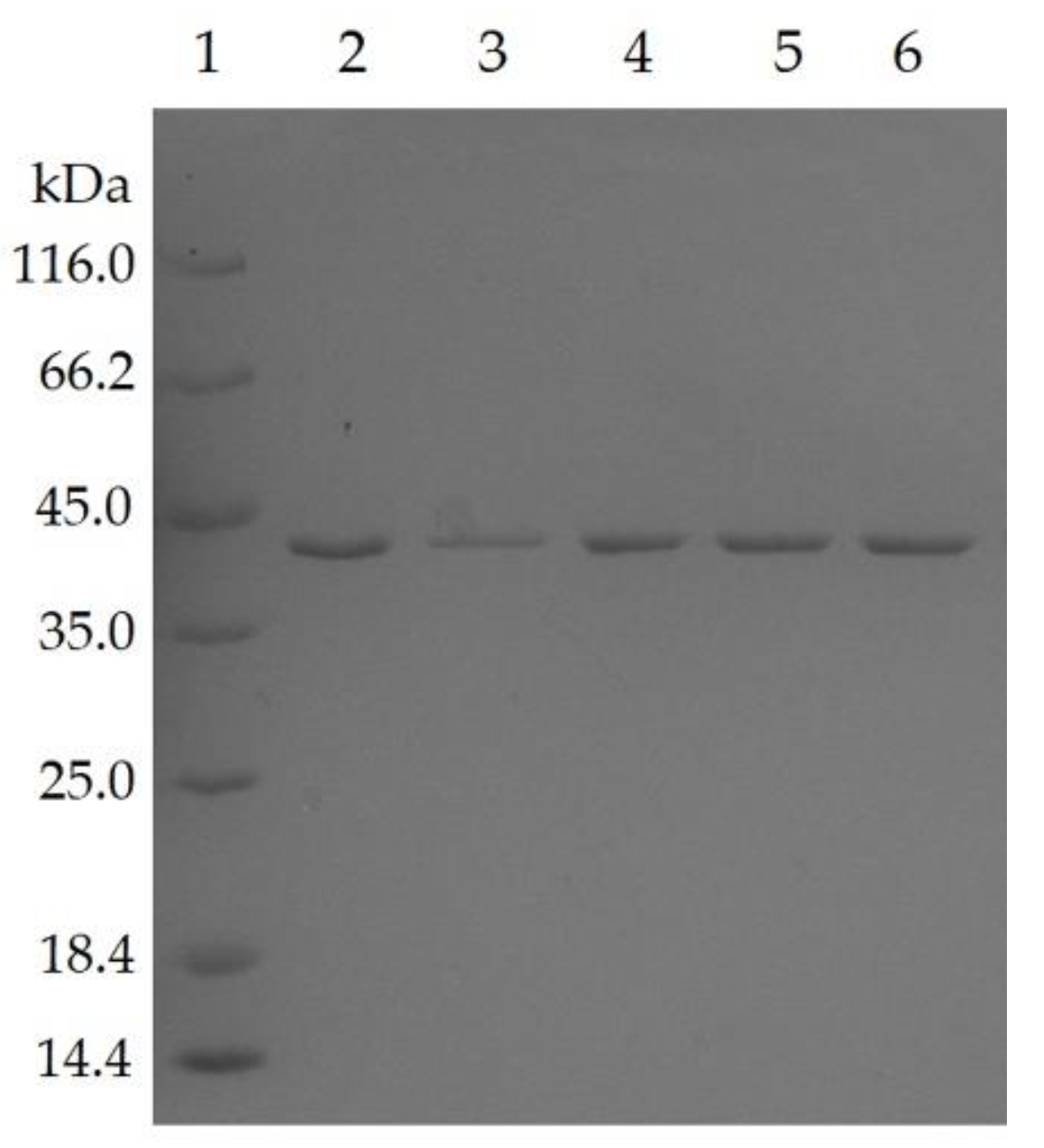 Molecules 25 03430 g001 Molecules 25 03430 g001