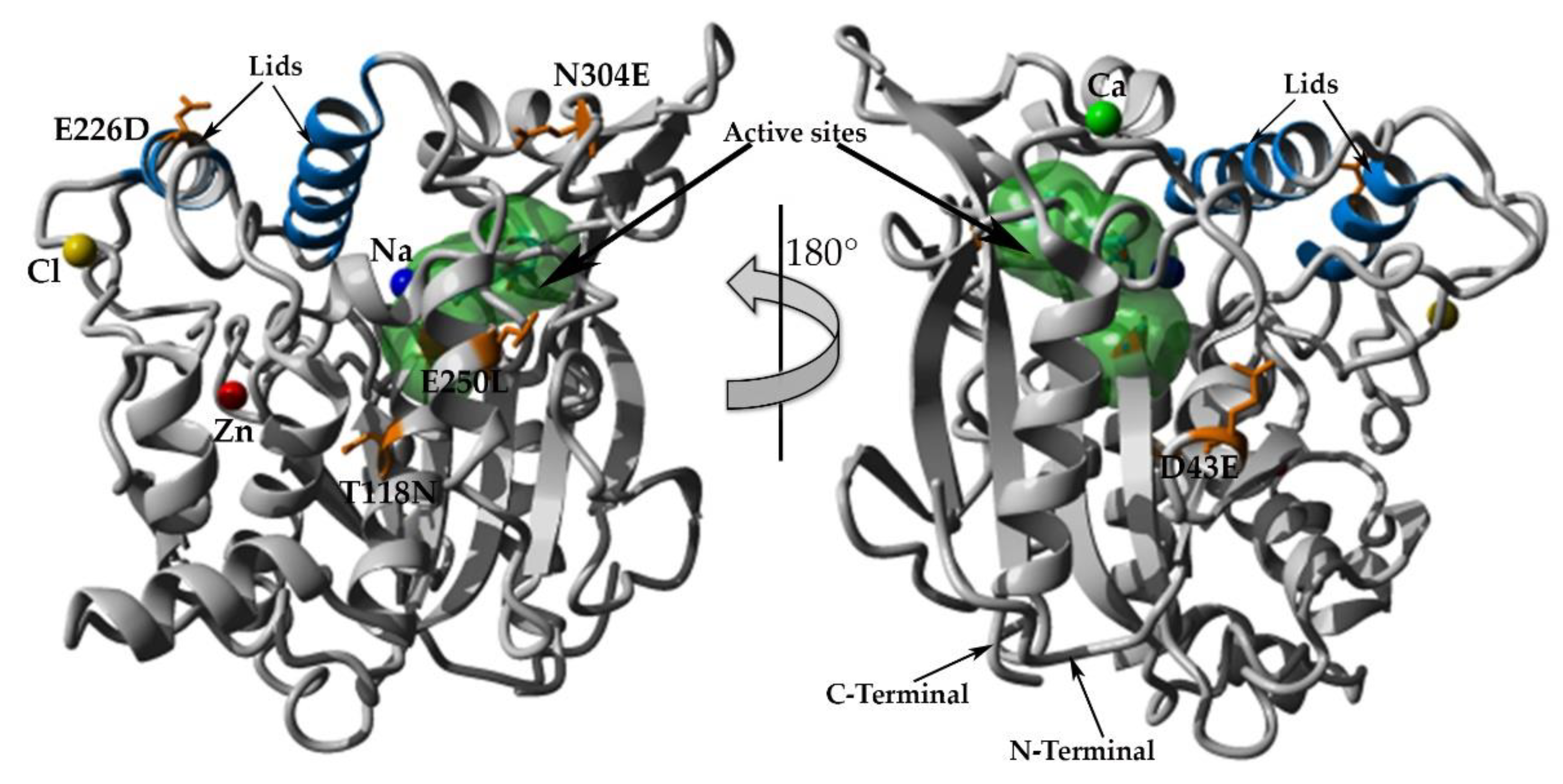 Molecules 25 03430 g006 Molecules 25 03430 g006