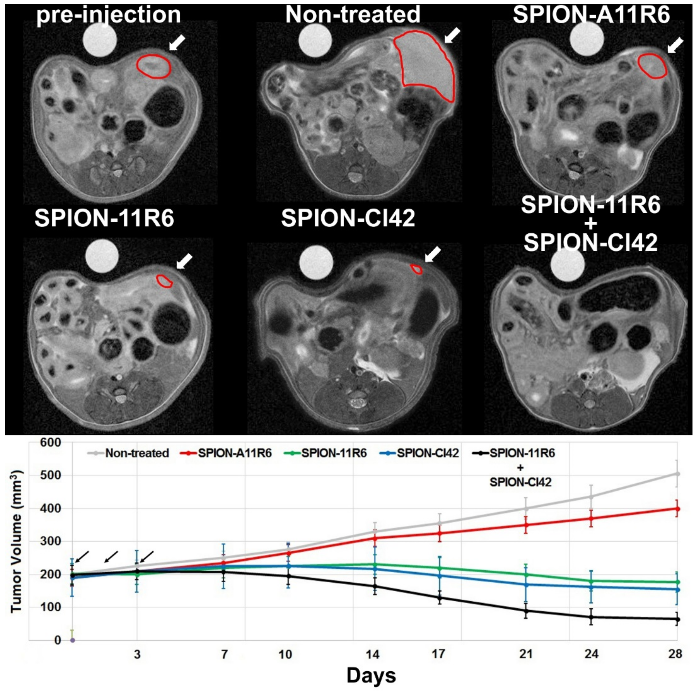 Molecules 25 03437 g005